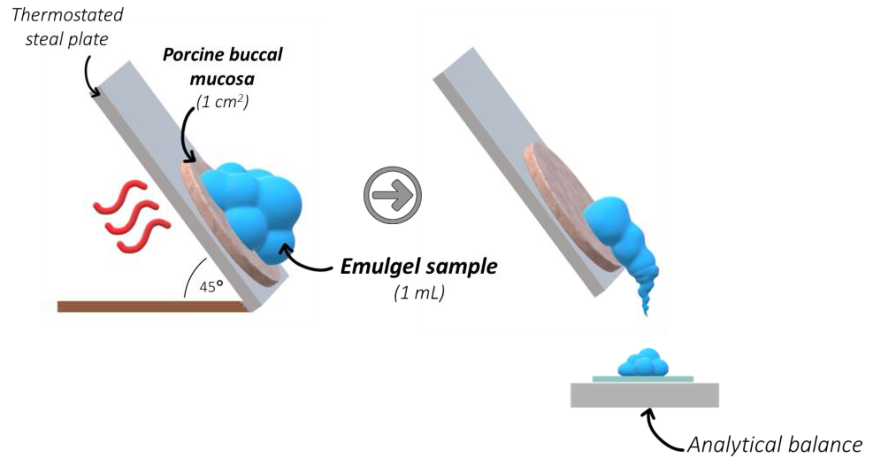 Pharmaceuticals 16 01534 g006