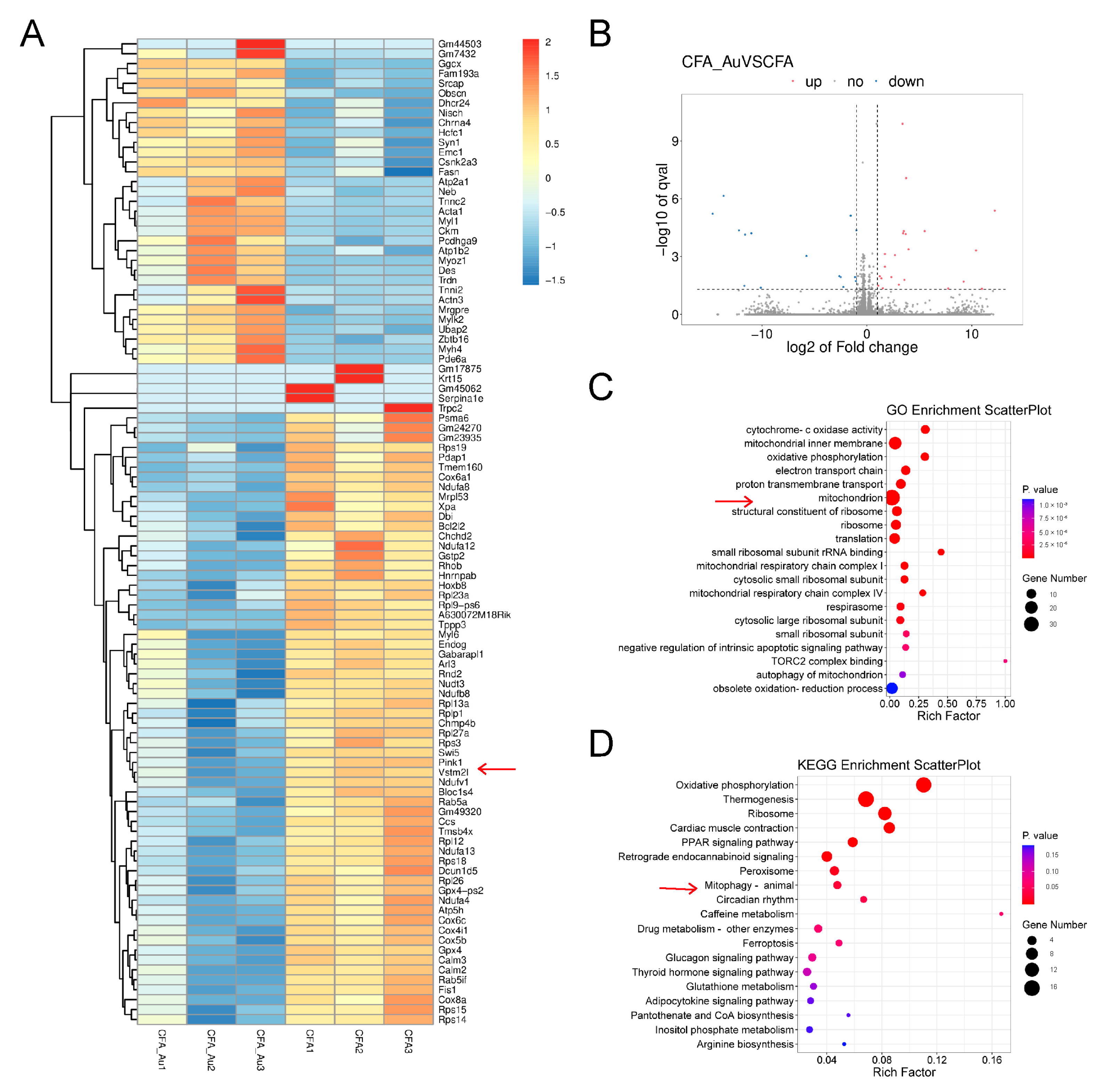 Pharmaceuticals 16 01545 g004