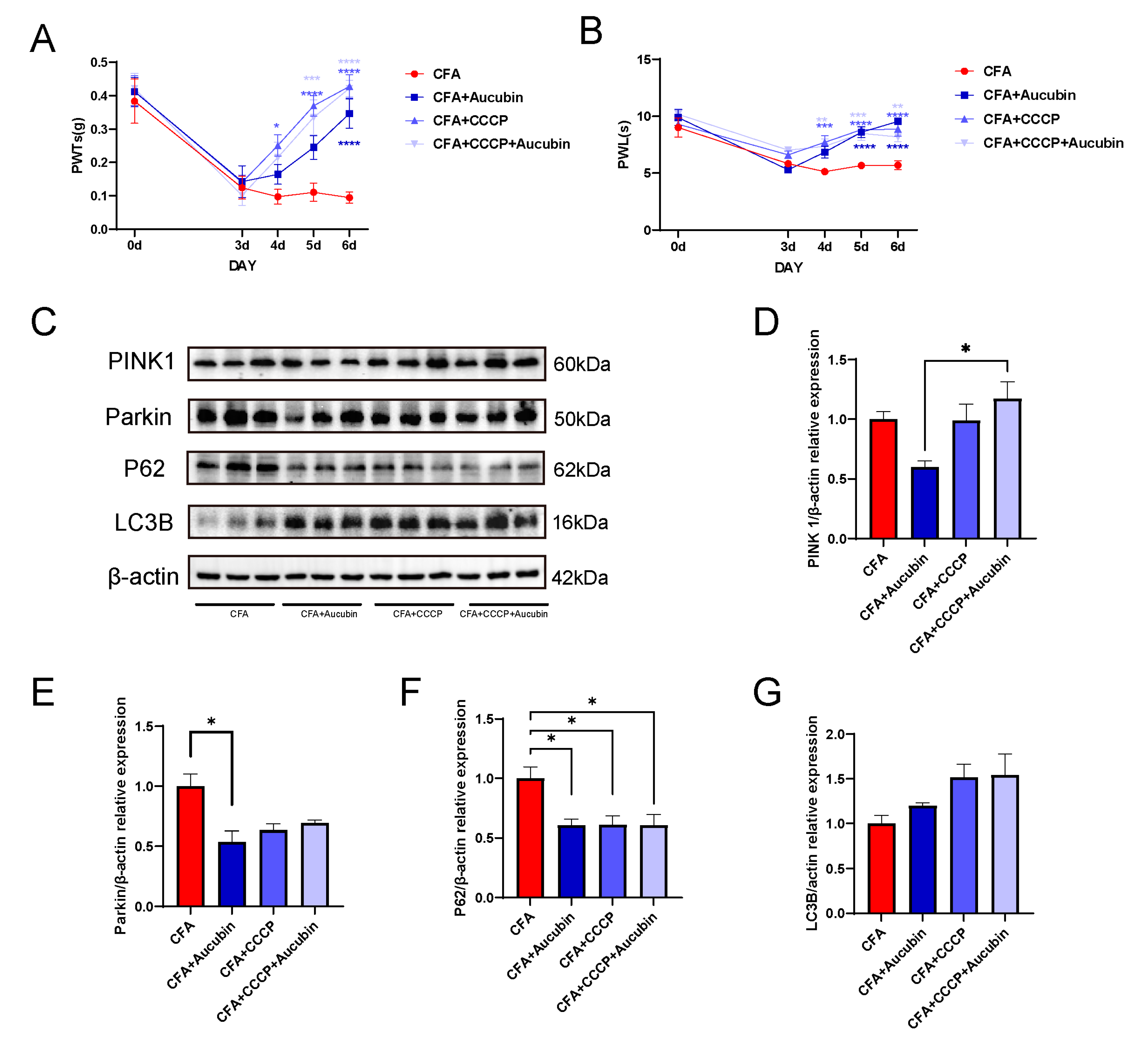 Pharmaceuticals 16 01545 g006