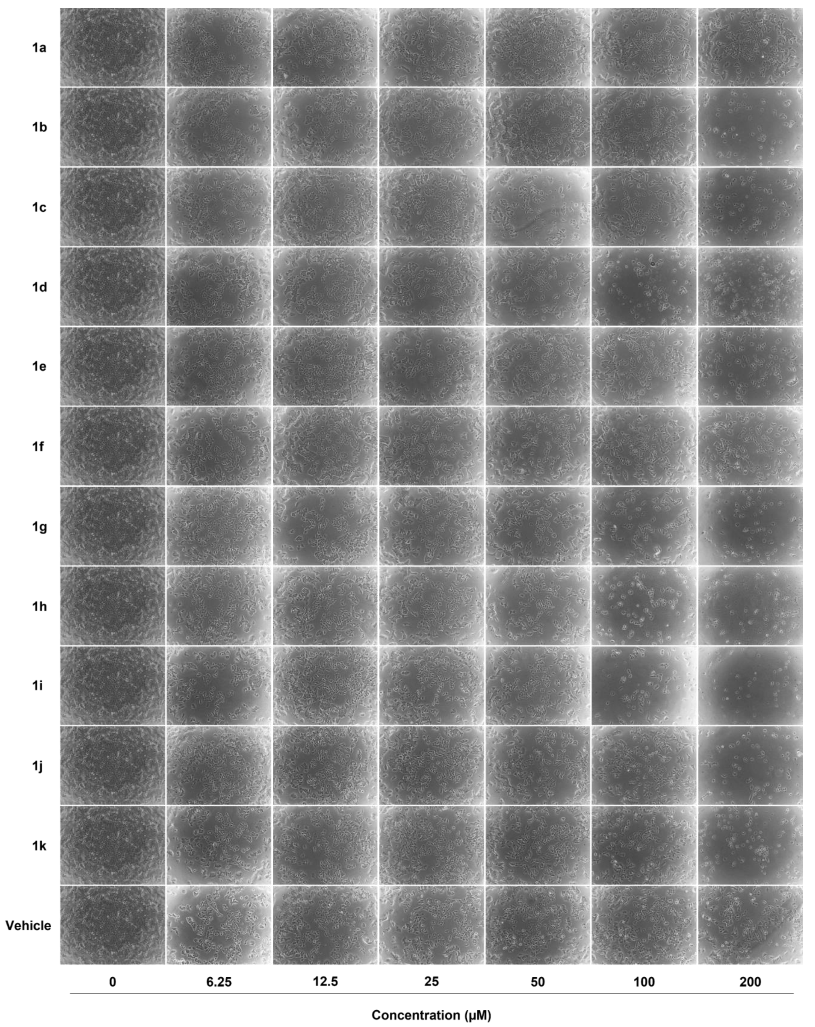 Pharmaceuticals 16 01562 g004