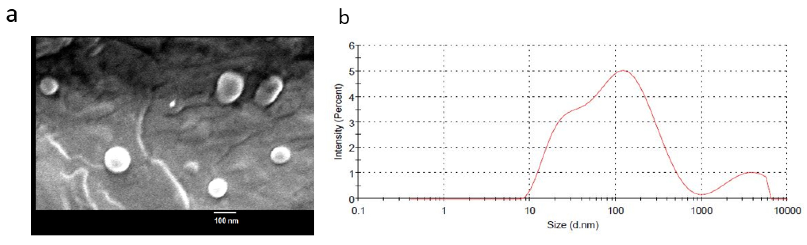 Pharmaceuticals 16 01578 g002