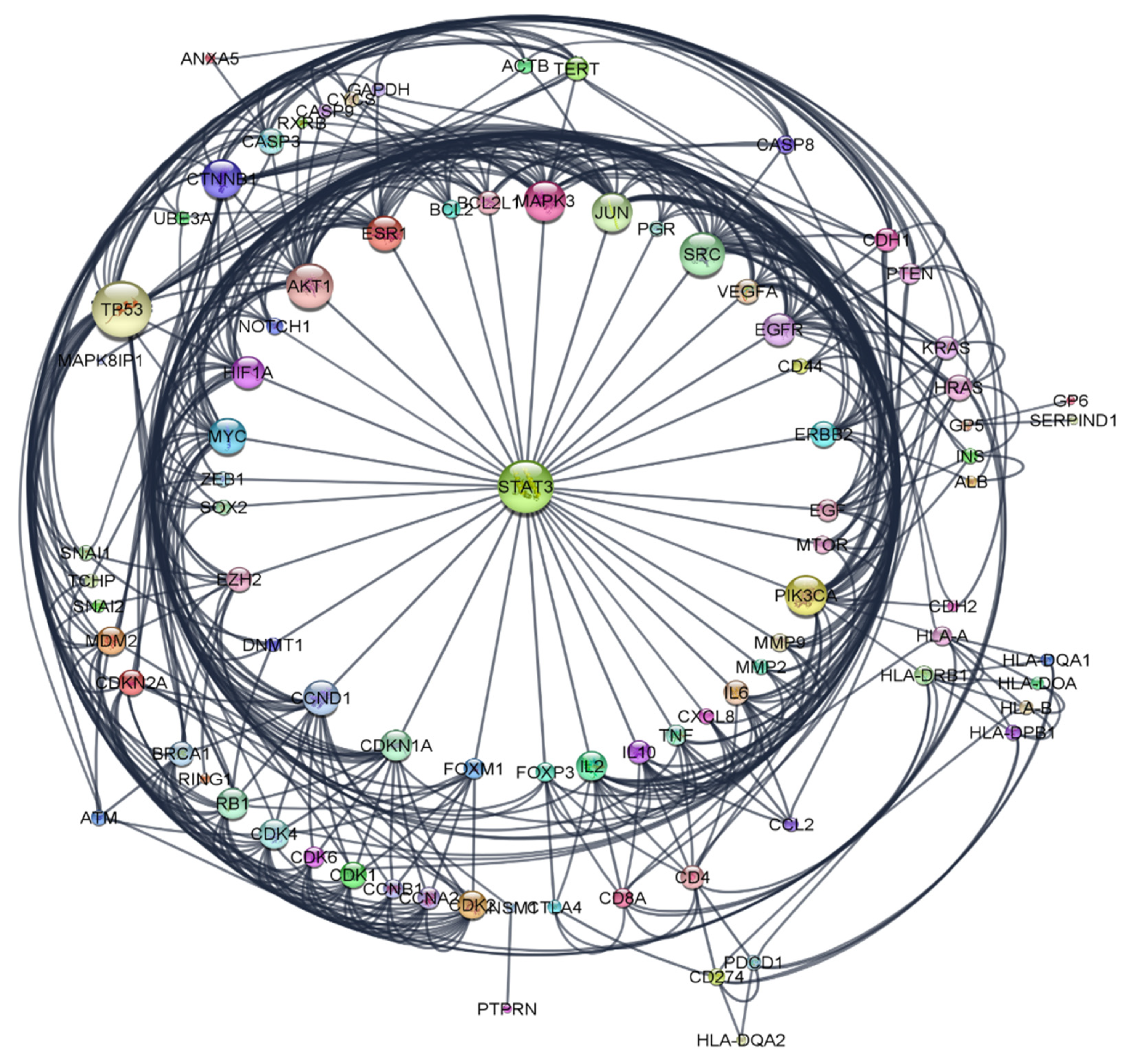 Pharmaceuticals 16 01578 g006