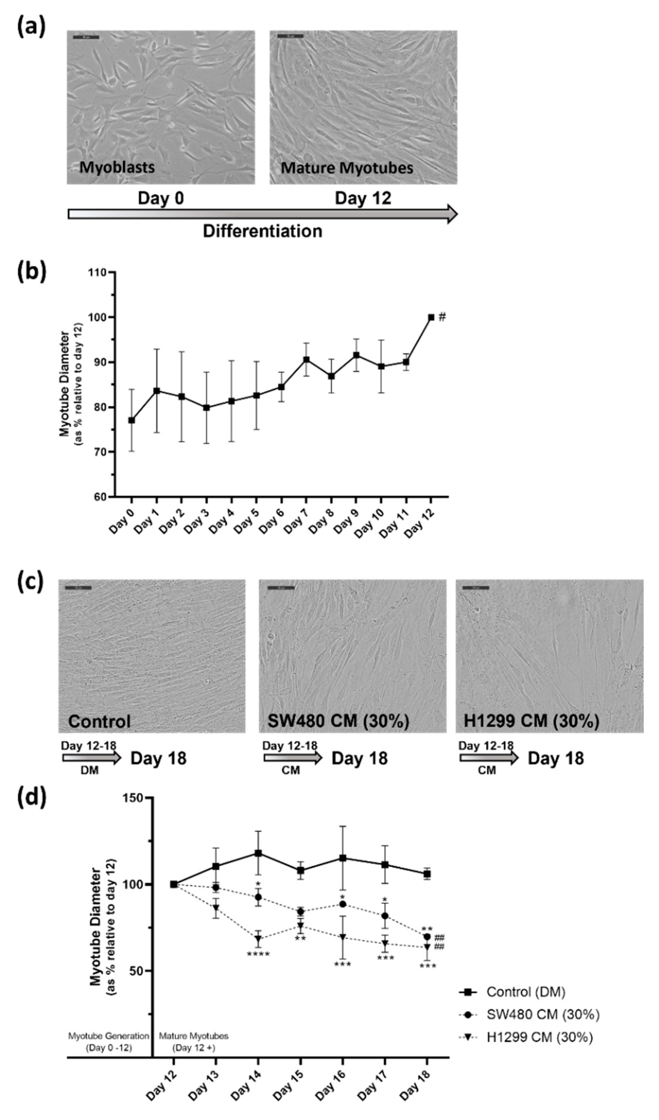 Pharmaceuticals 16 01580 g002