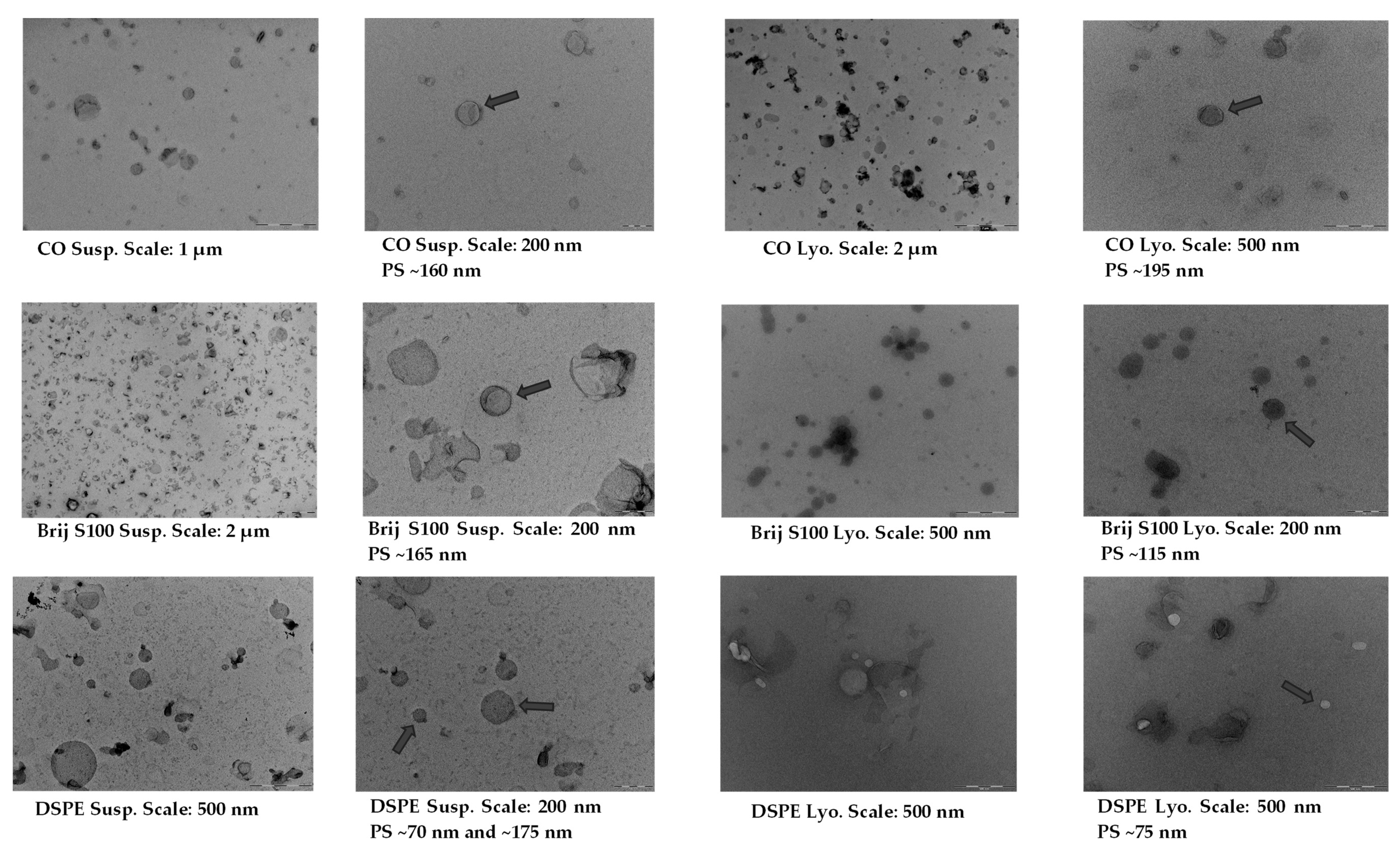 Pharmaceuticals 16 01583 g004a