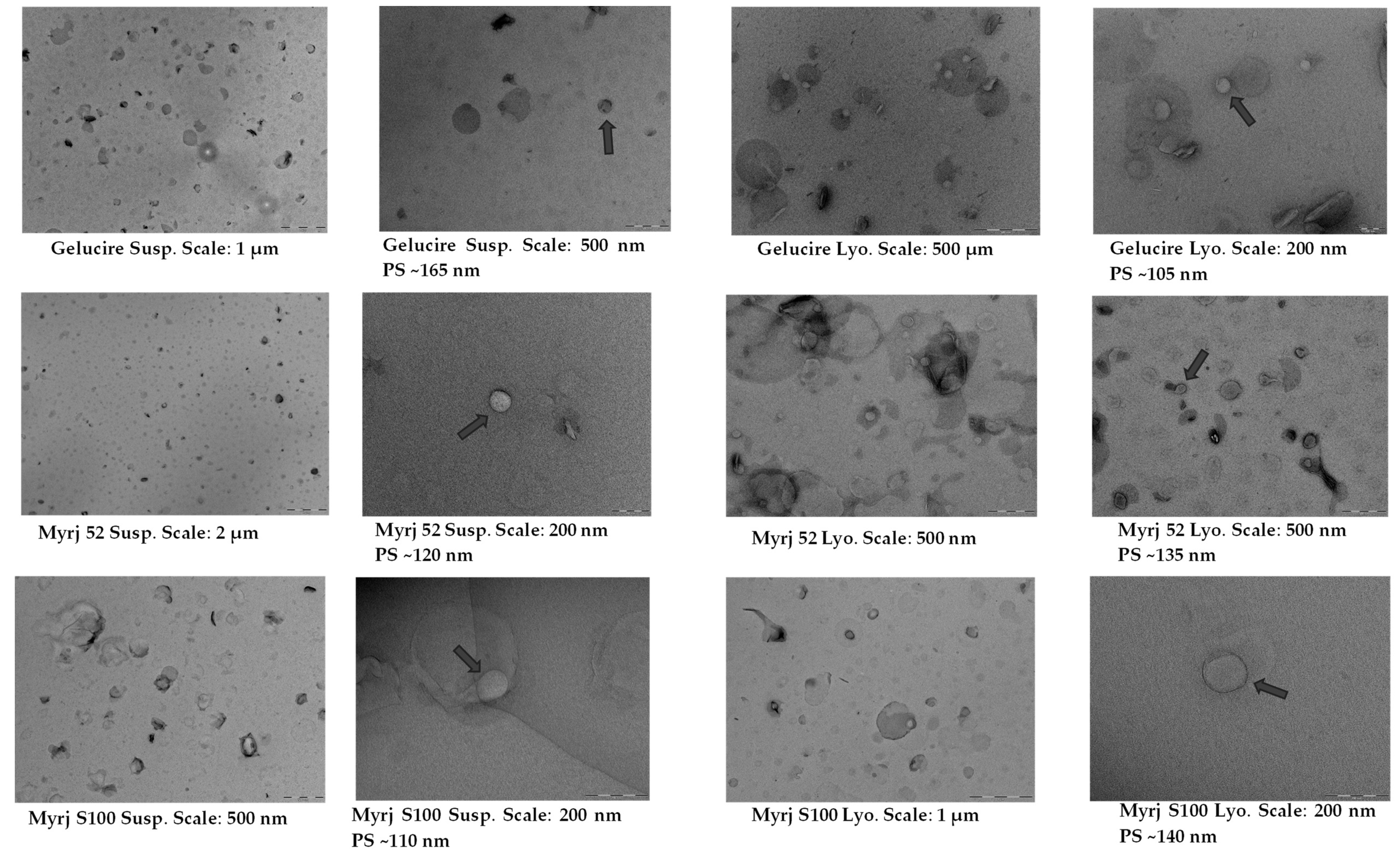 Pharmaceuticals 16 01583 g004b