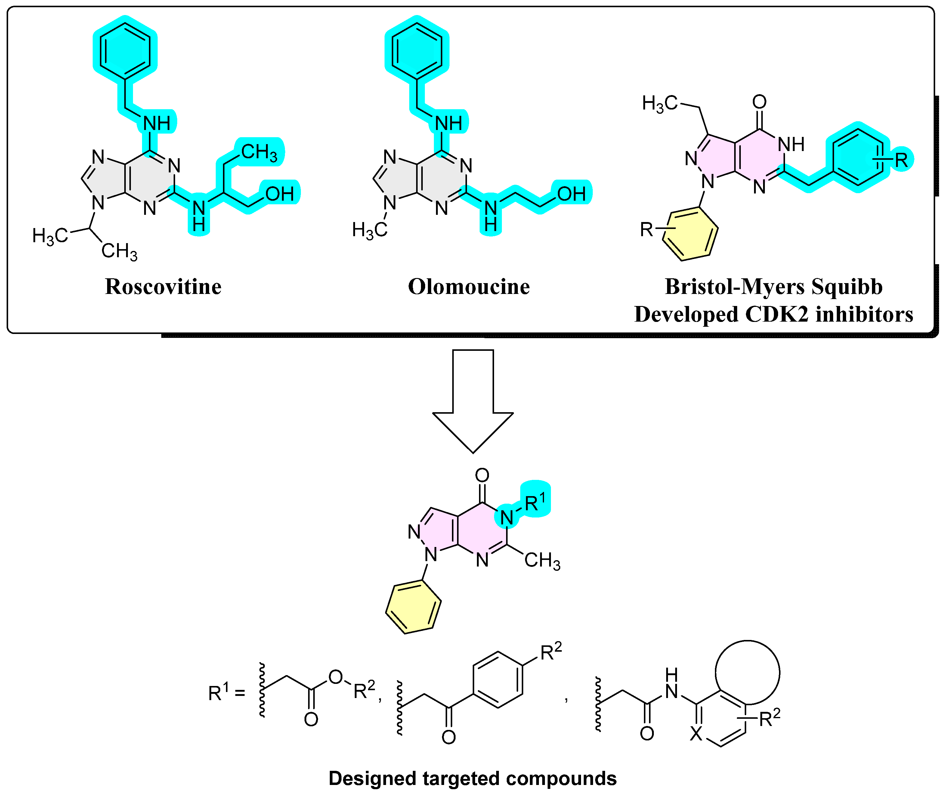 Pharmaceuticals 16 01593 g001