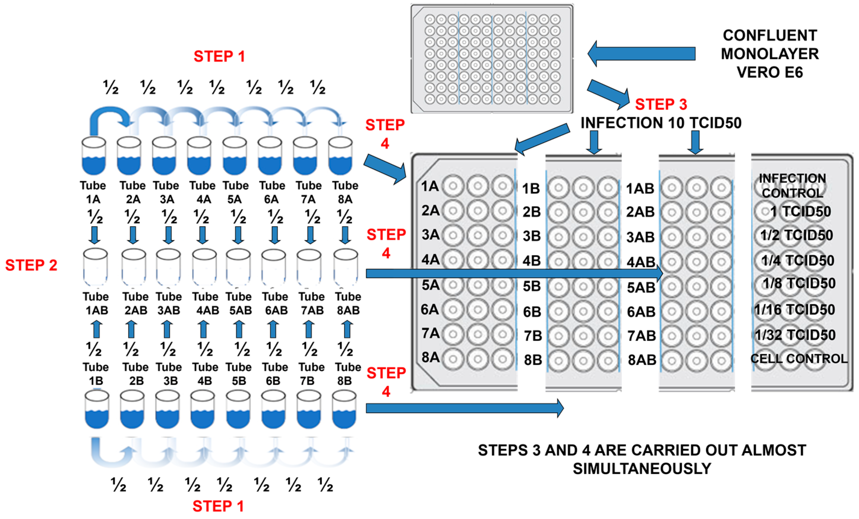Pharmaceuticals 16 01602 g002