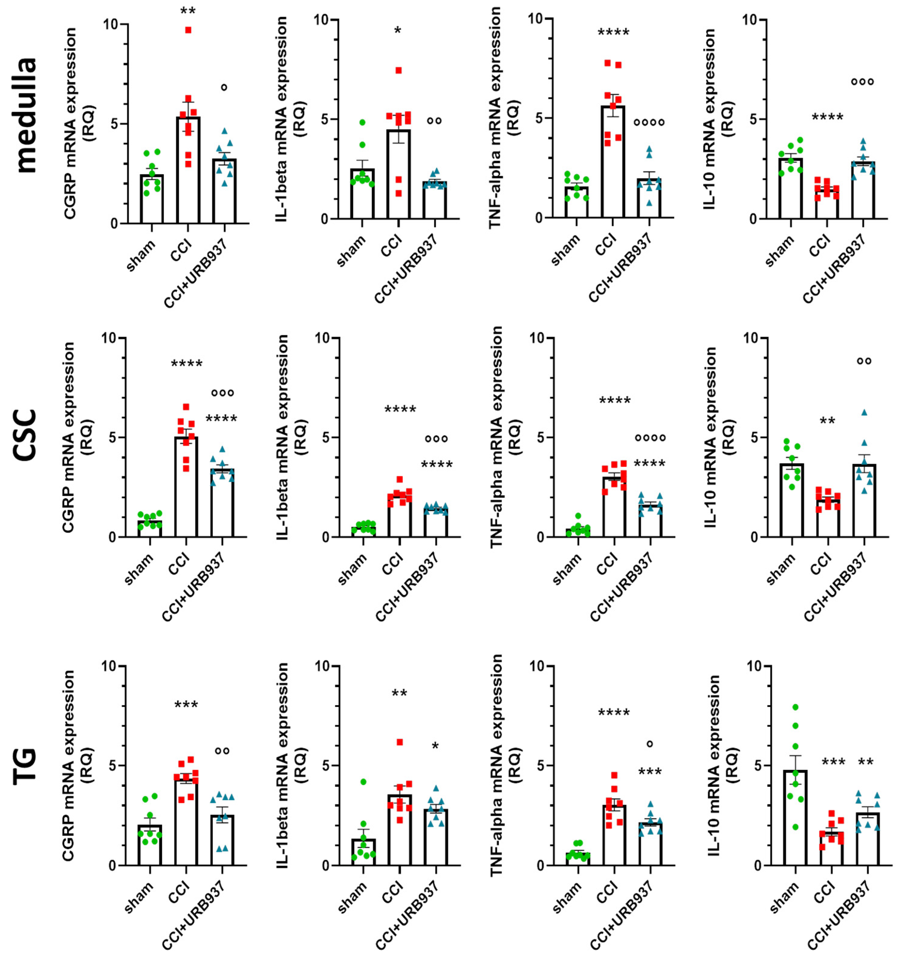 Pharmaceuticals 16 01626 g002