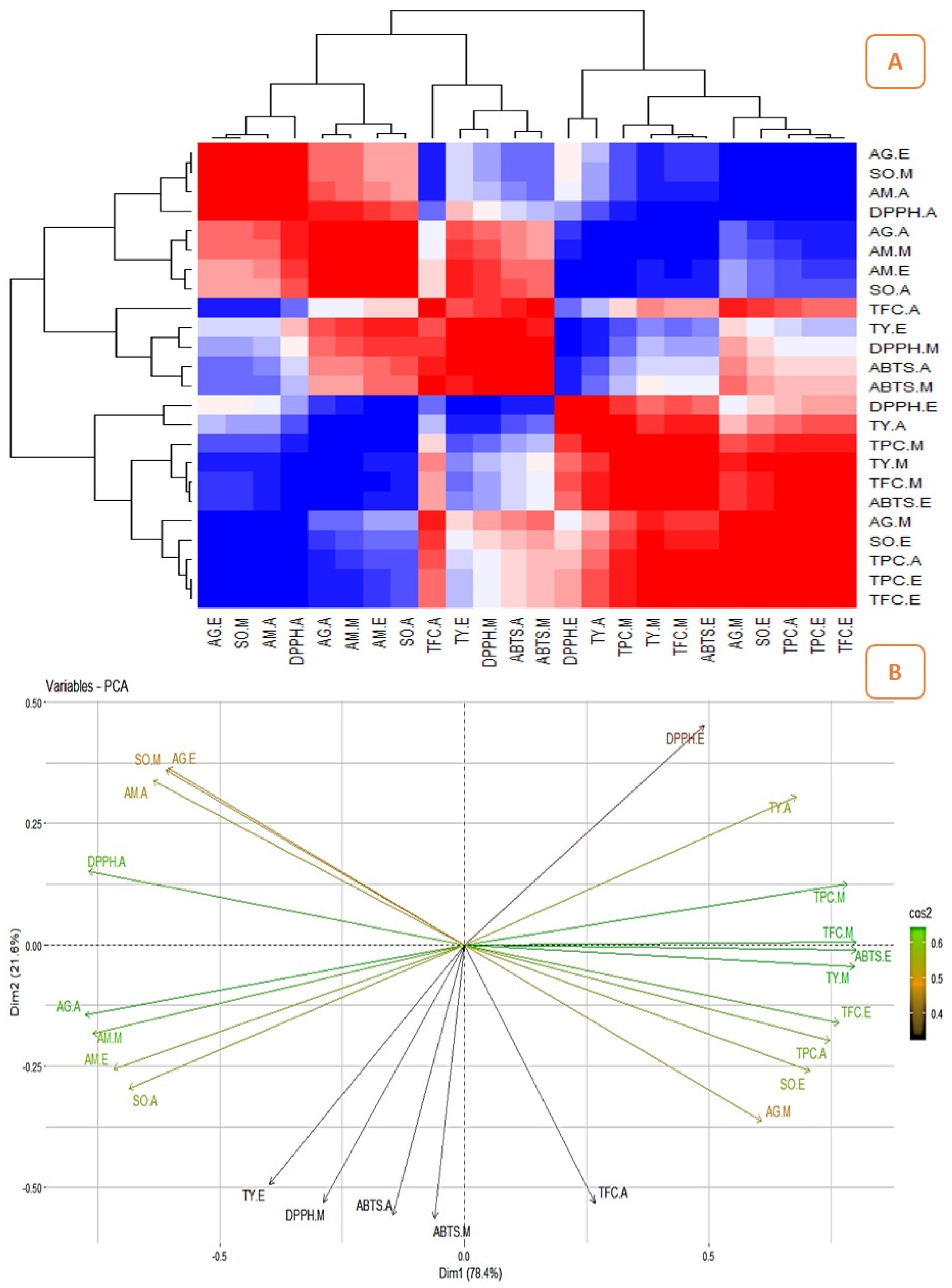 Pharmaceuticals 16 01636 g008