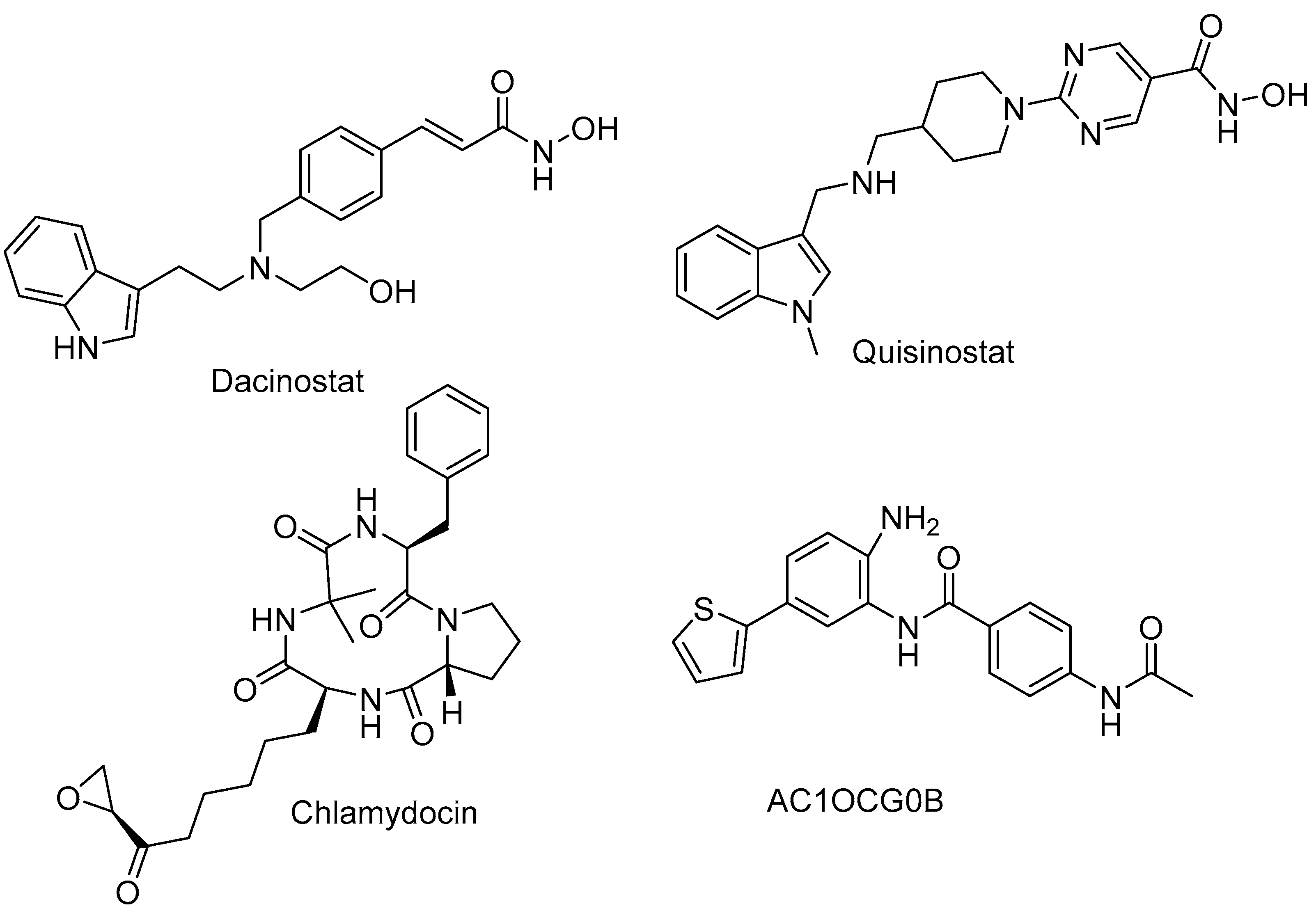 Pharmaceuticals 16 01639 g006