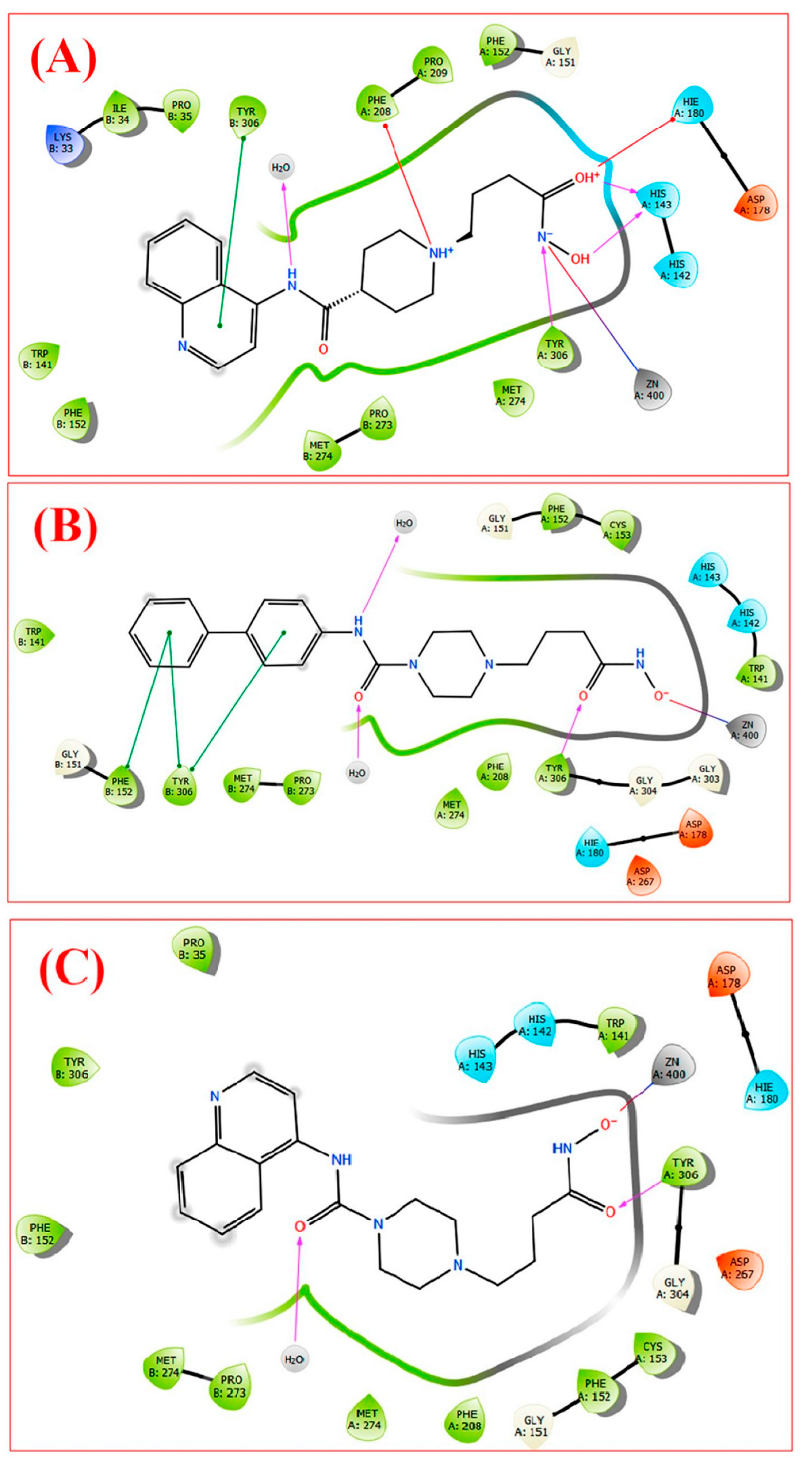 Pharmaceuticals 16 01639 g027