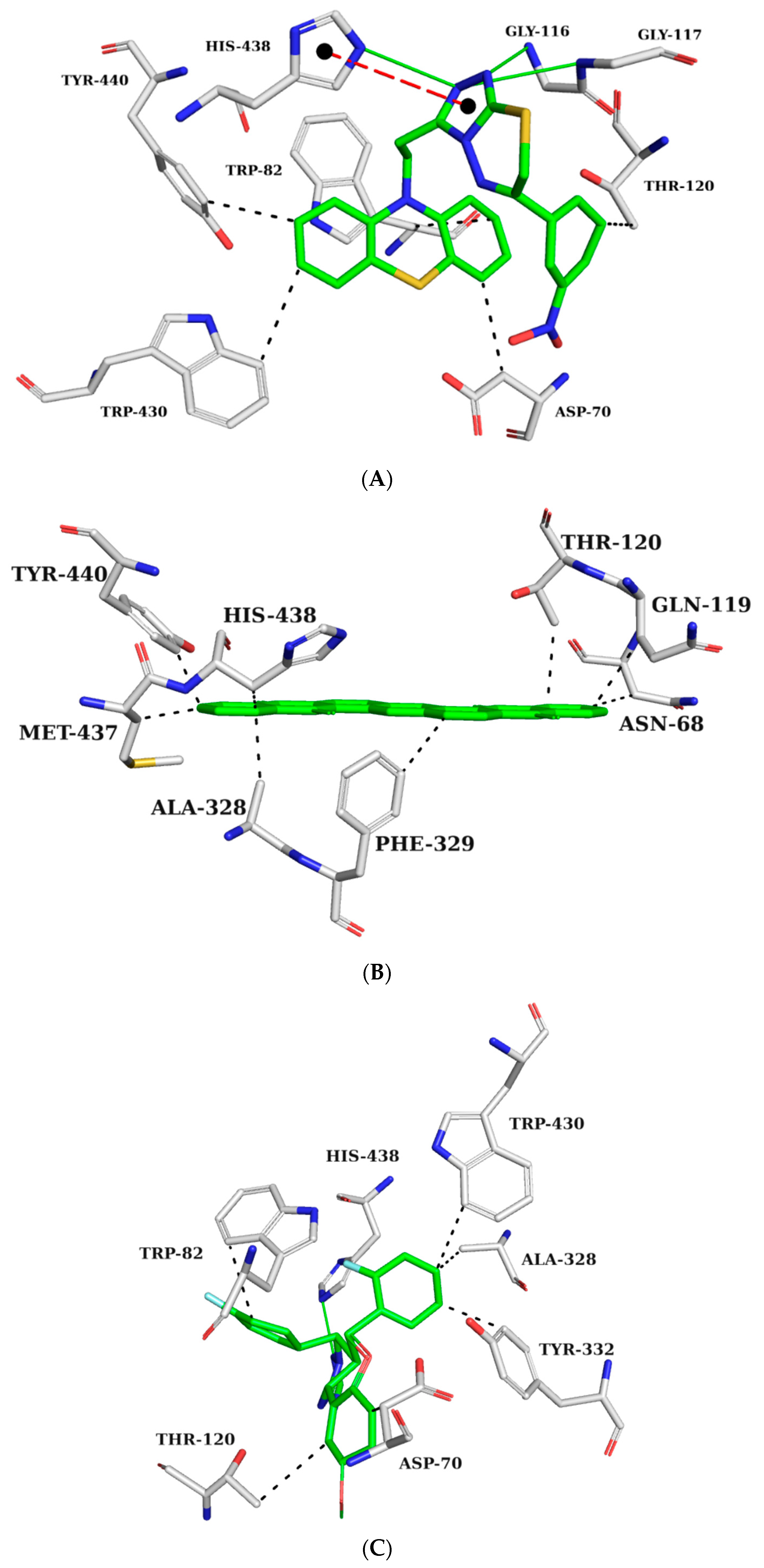 Pharmaceuticals 16 01645 g006