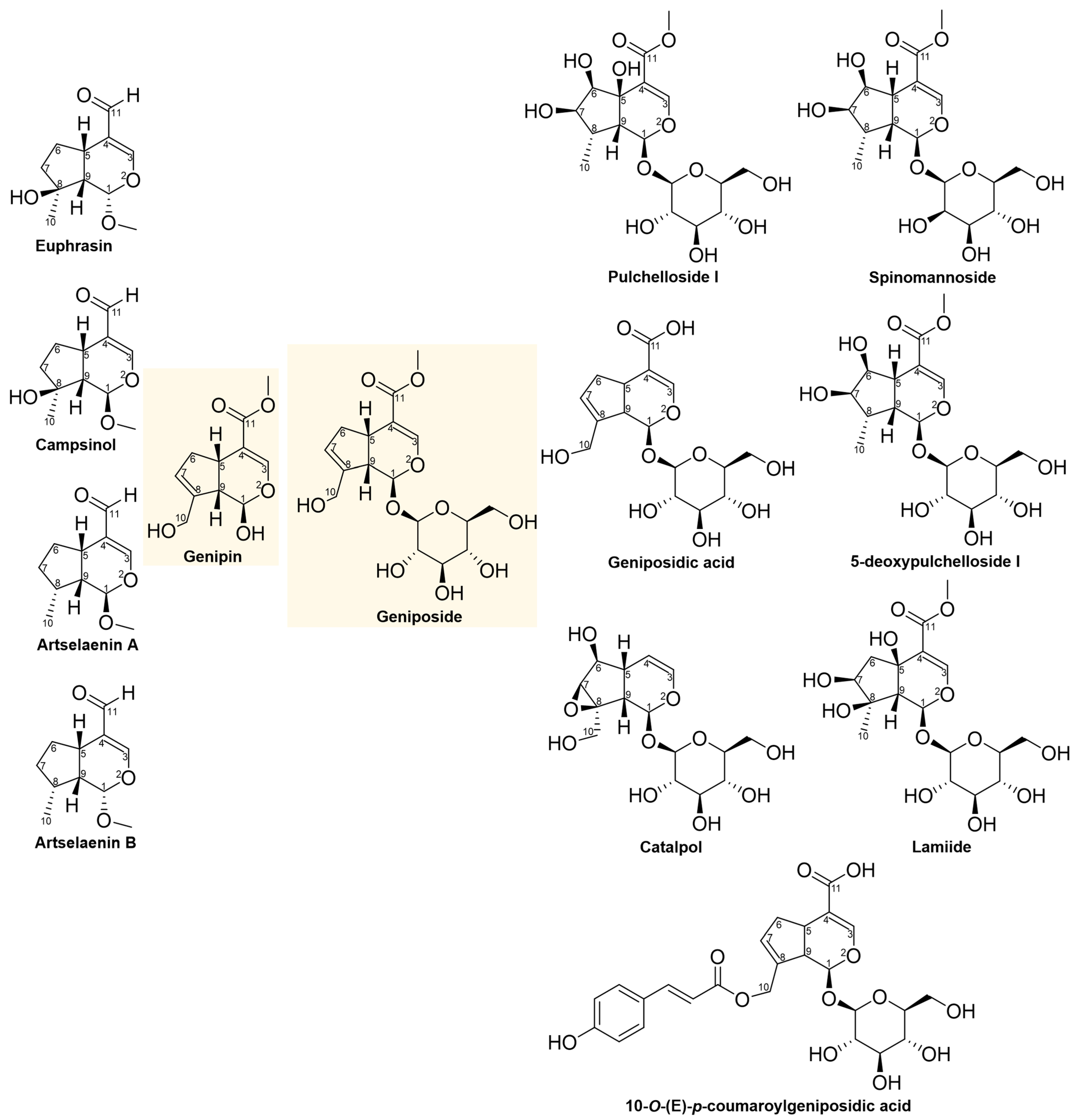 Pharmaceuticals 16 01647 g001 Pharmaceuticals 16 01647 g001