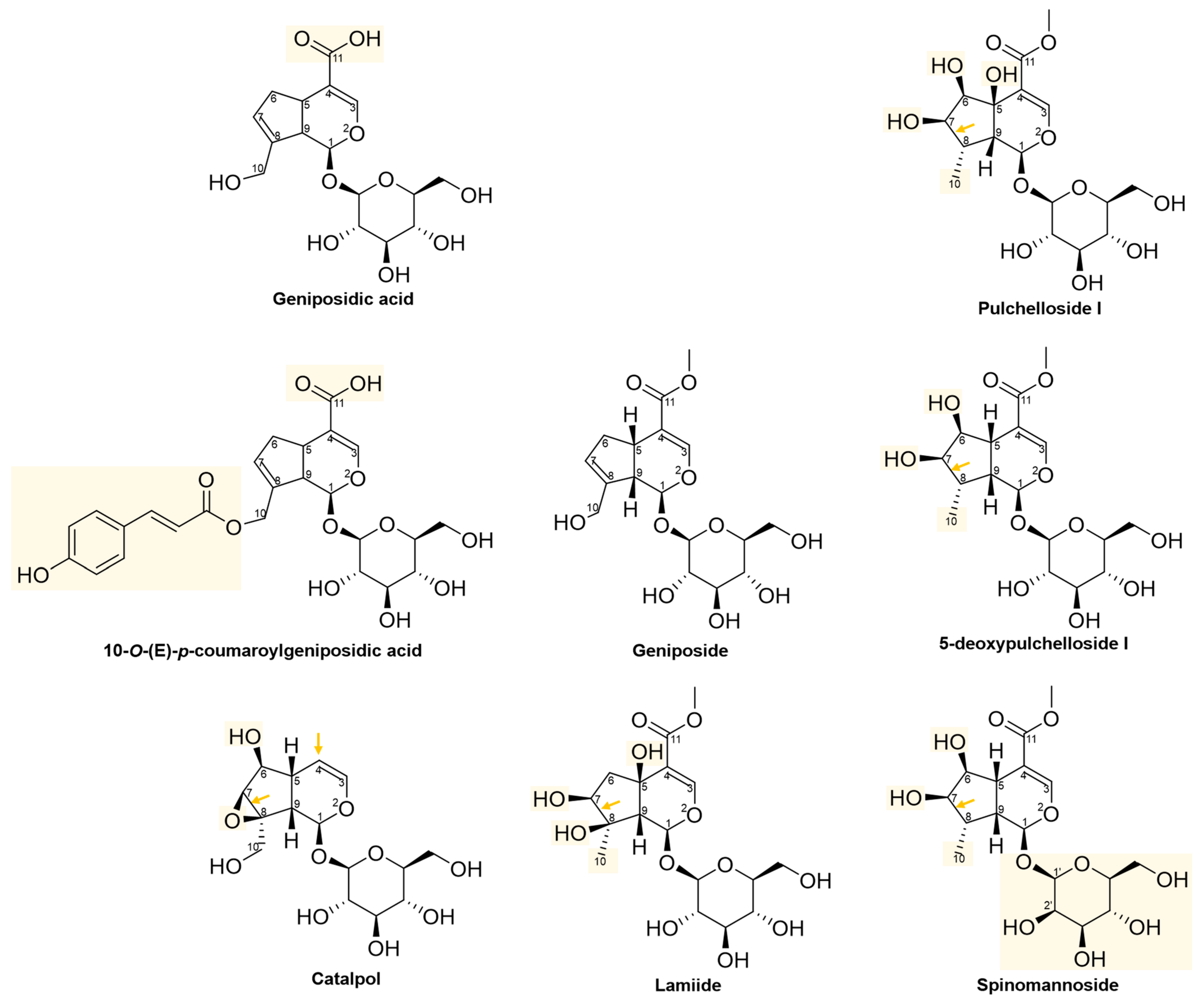 Pharmaceuticals 16 01647 g009 Pharmaceuticals 16 01647 g009