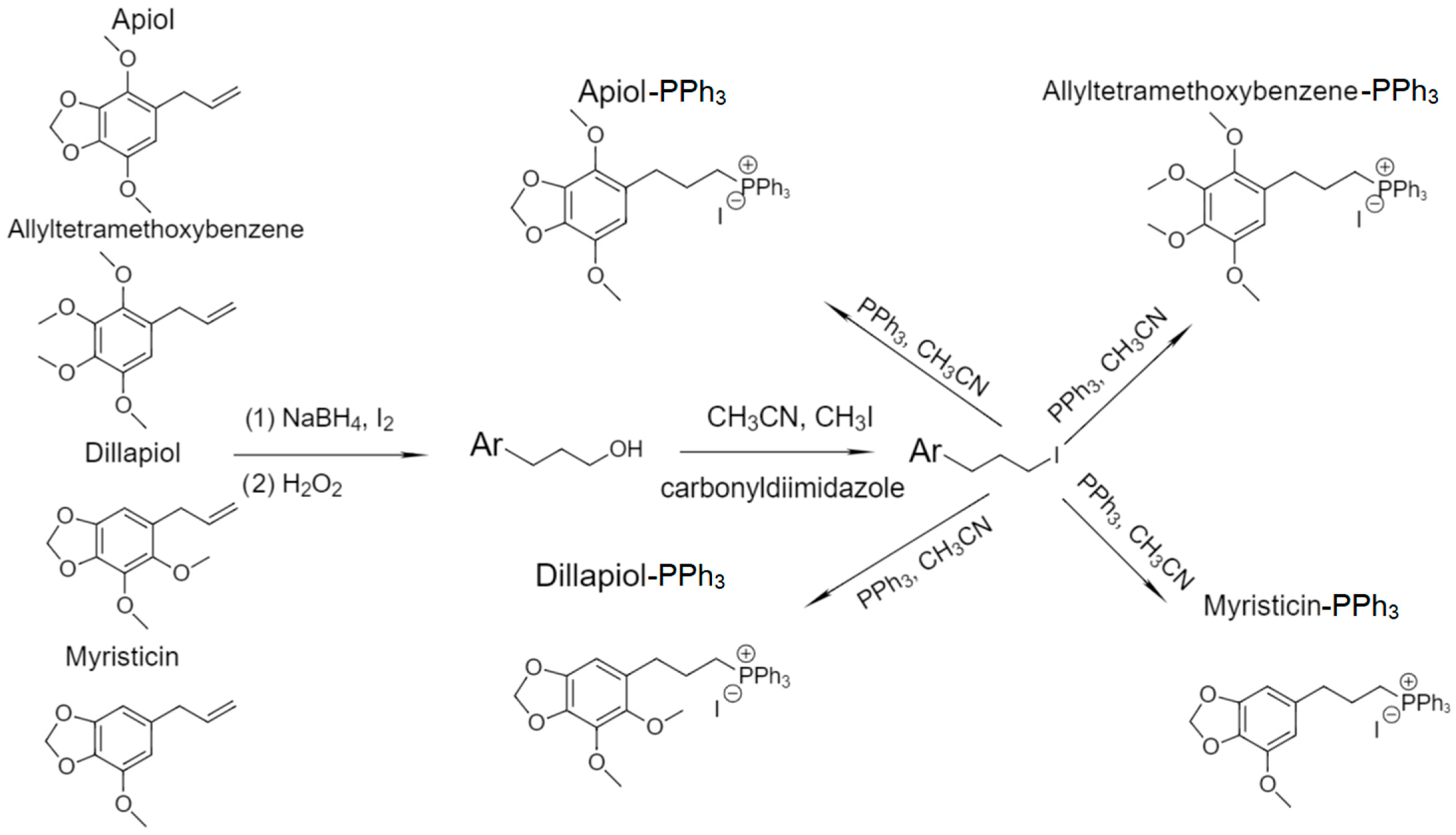 Pharmaceuticals 16 01651 g001