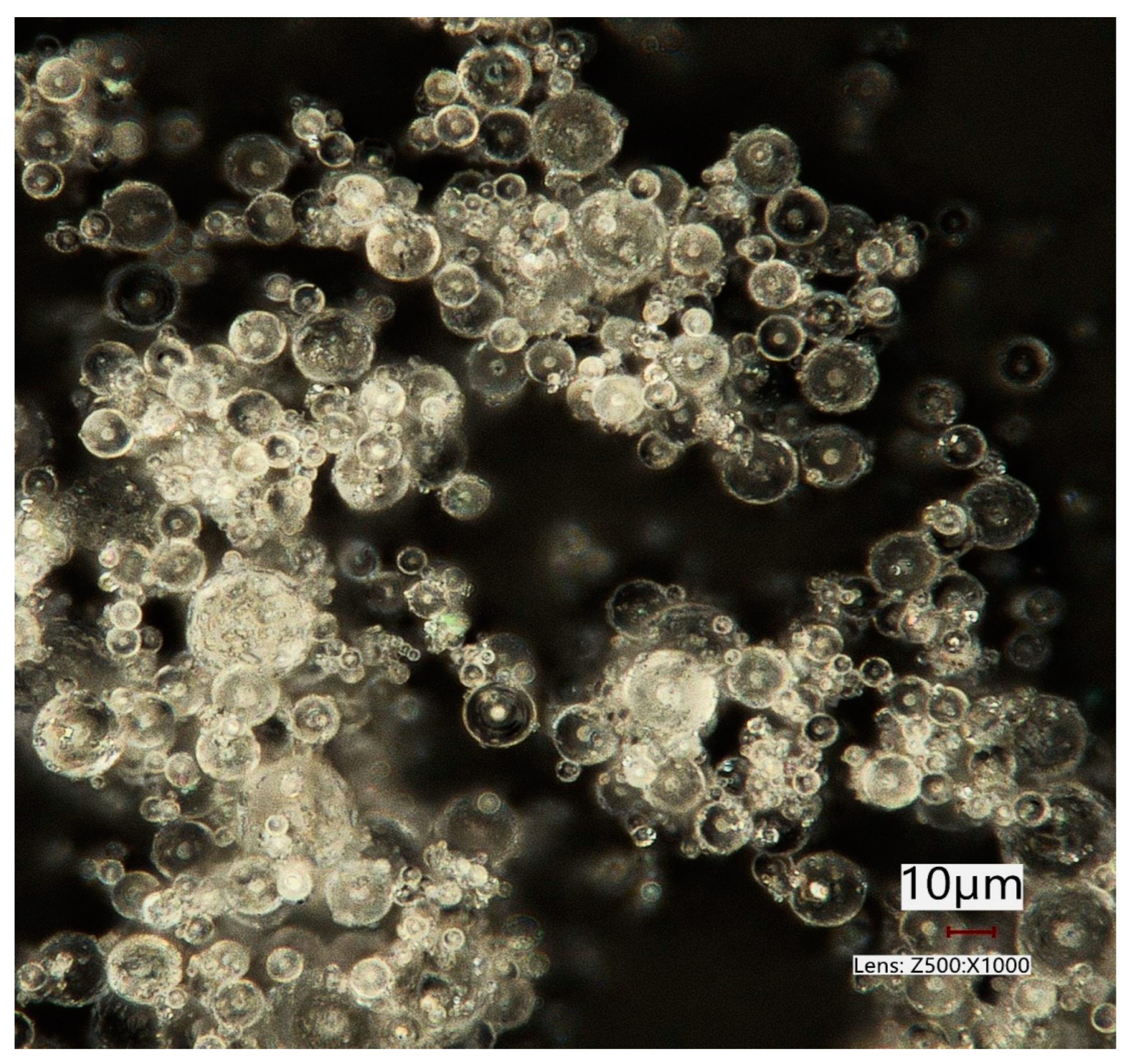 Pharmaceuticals 16 01658 g002 Pharmaceuticals 16 01658 g002