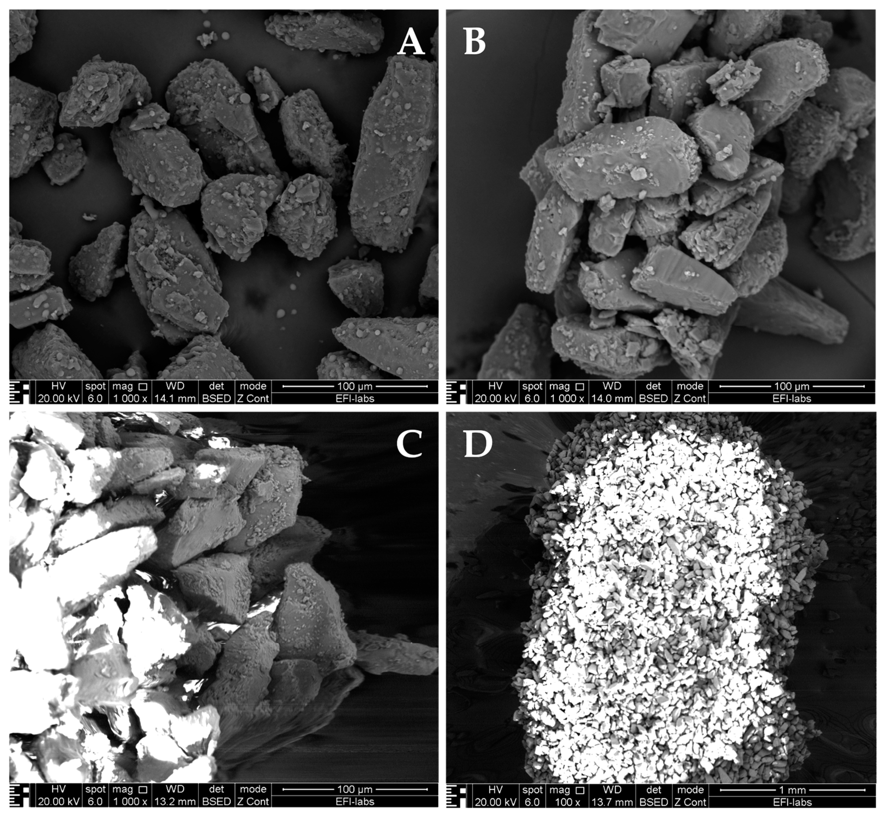 Pharmaceuticals 16 01658 g004 Pharmaceuticals 16 01658 g004