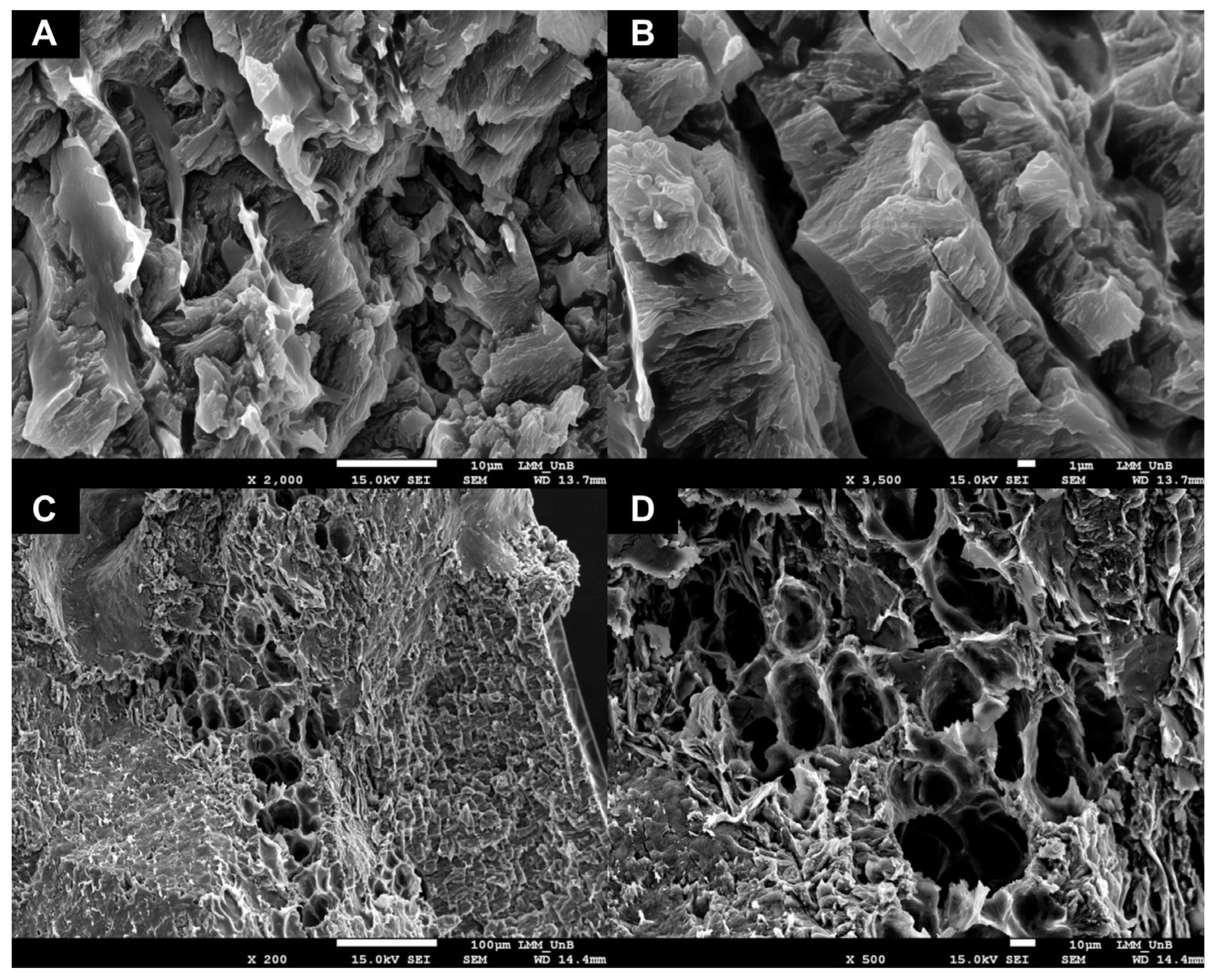 Pharmaceuticals 16 01659 g004