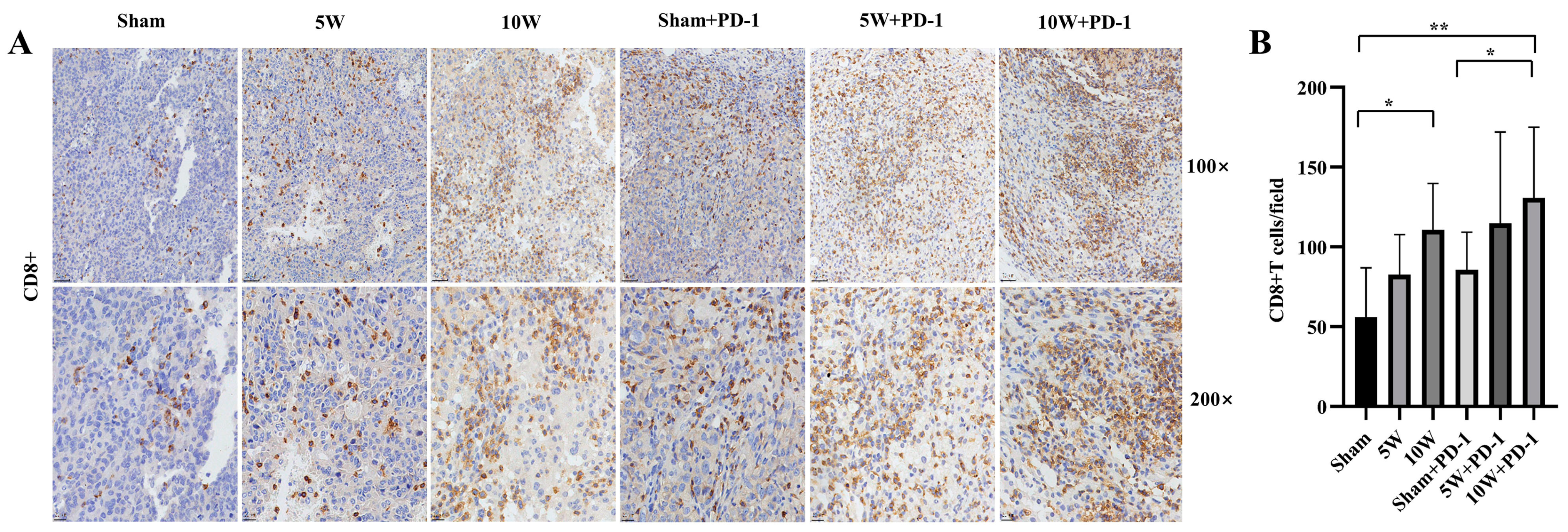 Pharmaceuticals 16 01672 g002