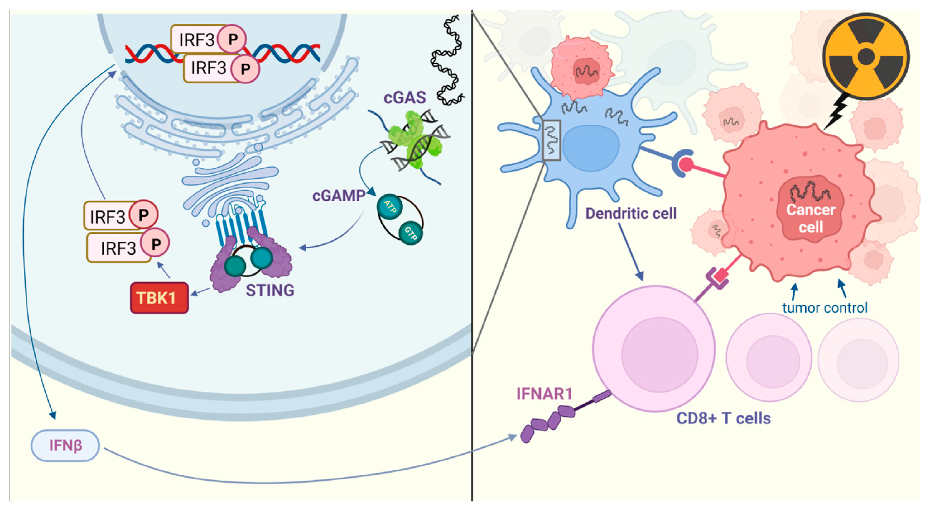 Pharmaceuticals 16 01675 g004