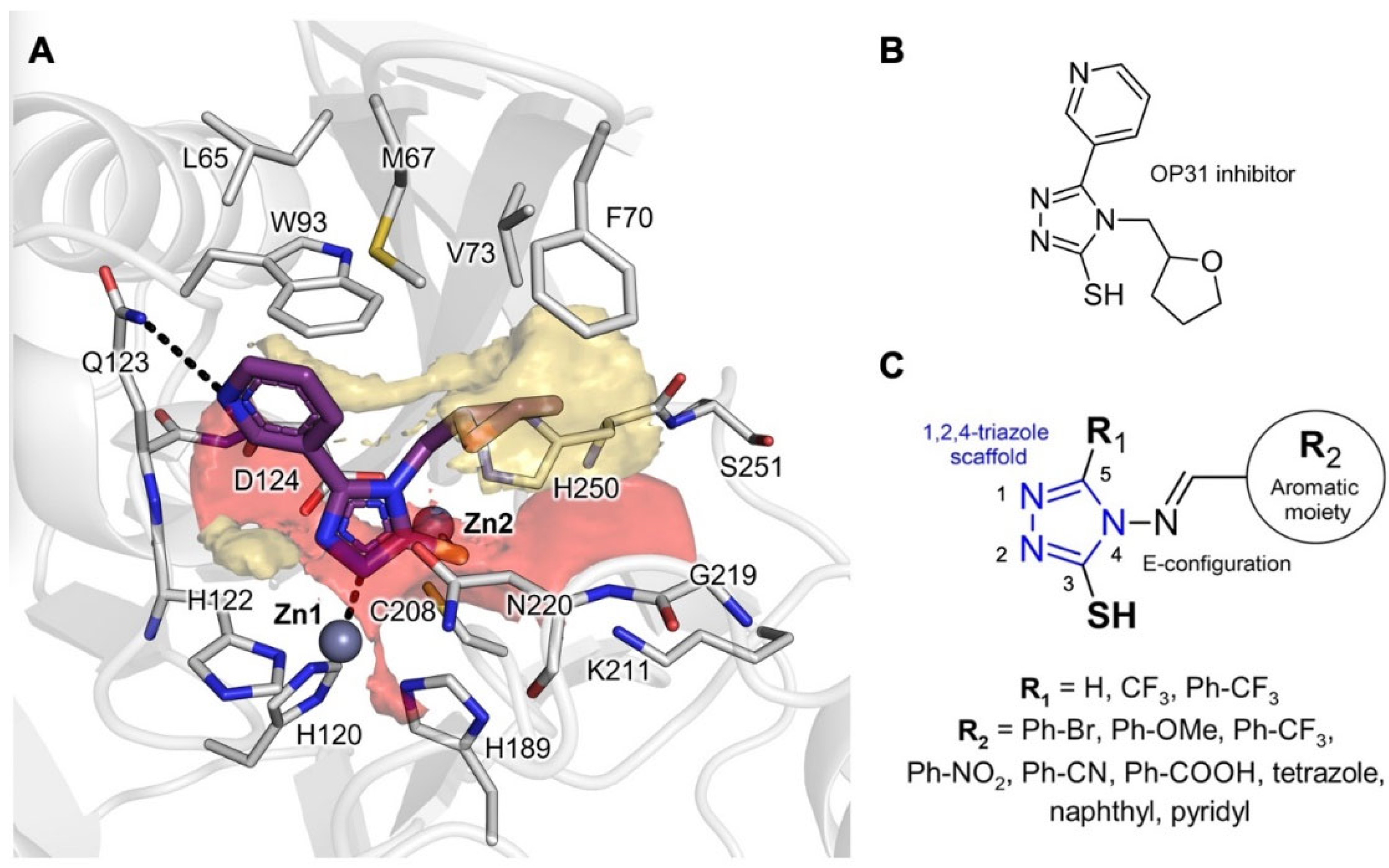 Pharmaceuticals 16 01682 g001