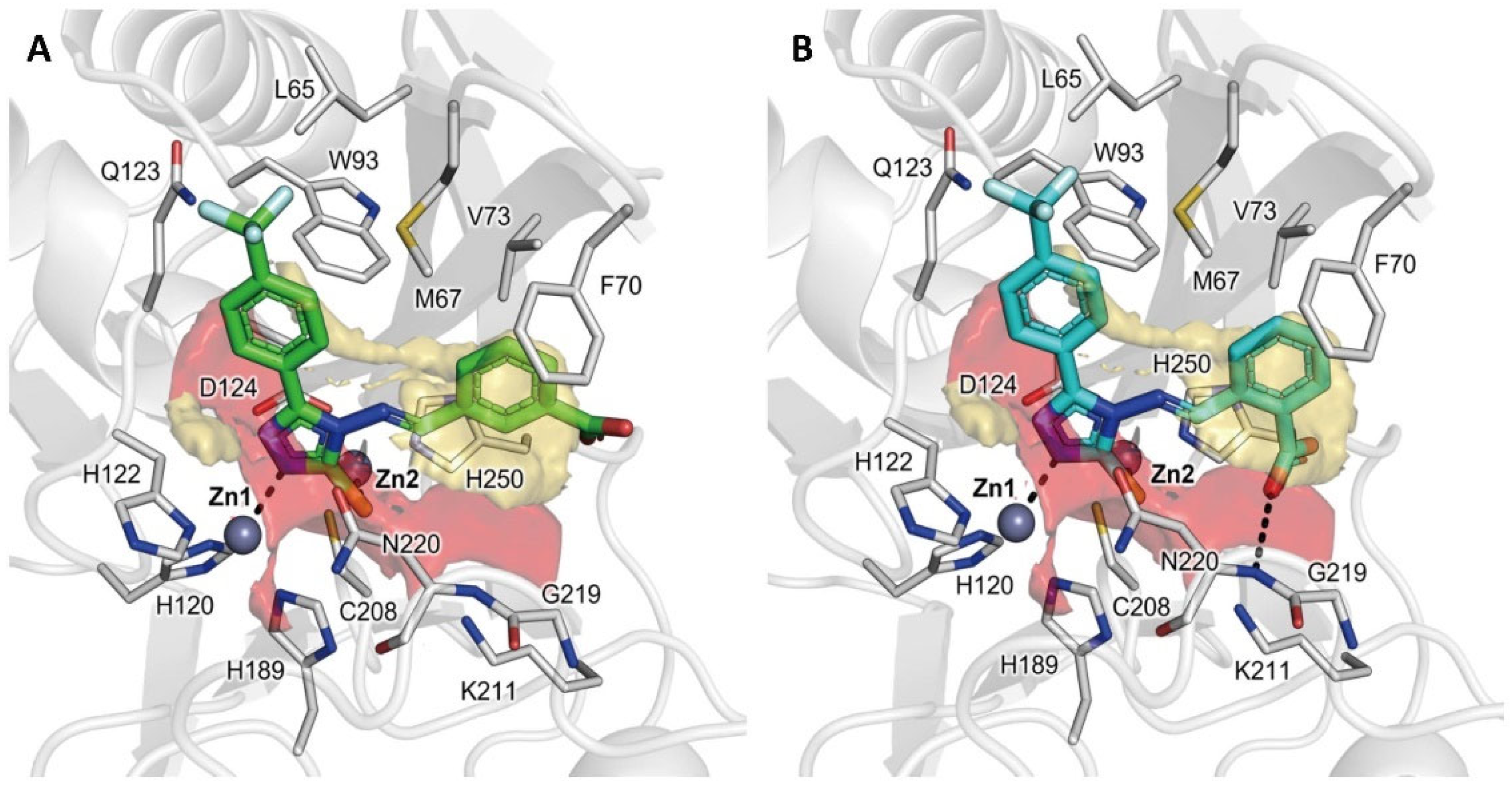 Pharmaceuticals 16 01682 g002
