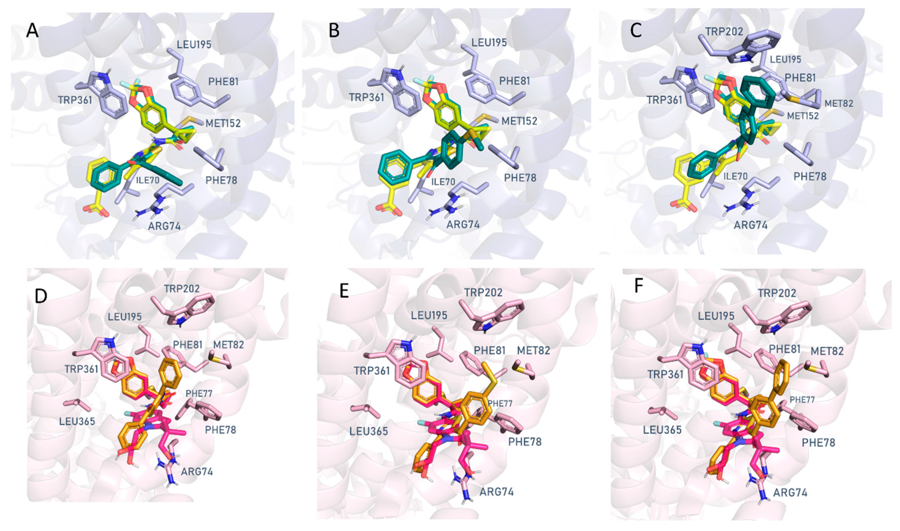 Pharmaceuticals 16 01702 g005