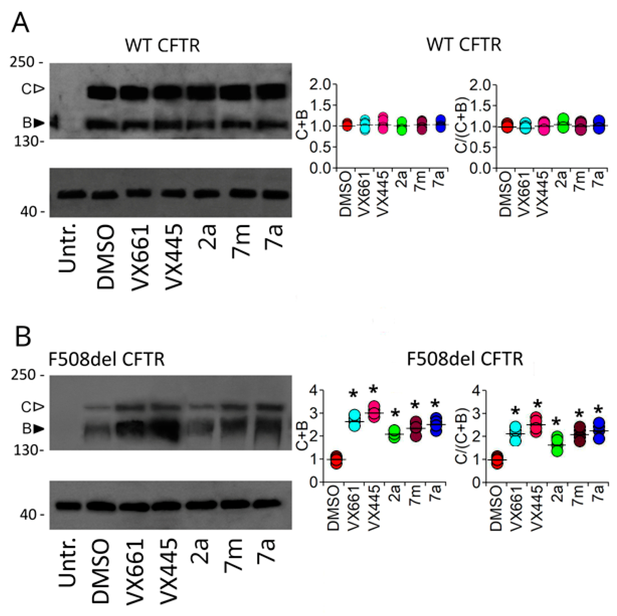 Pharmaceuticals 16 01702 g006