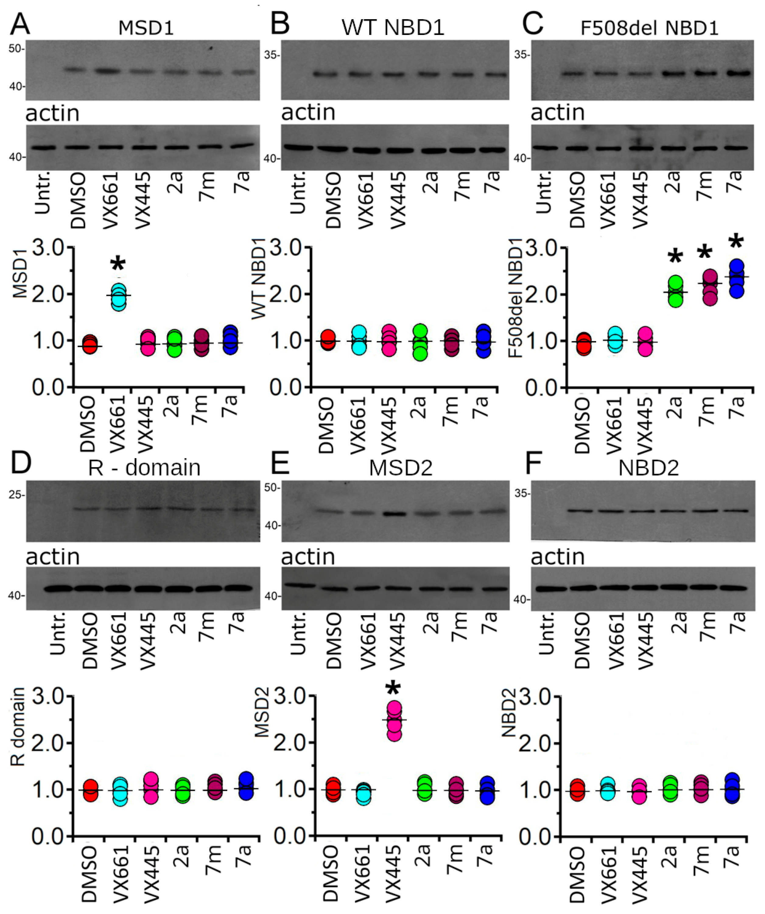 Pharmaceuticals 16 01702 g008