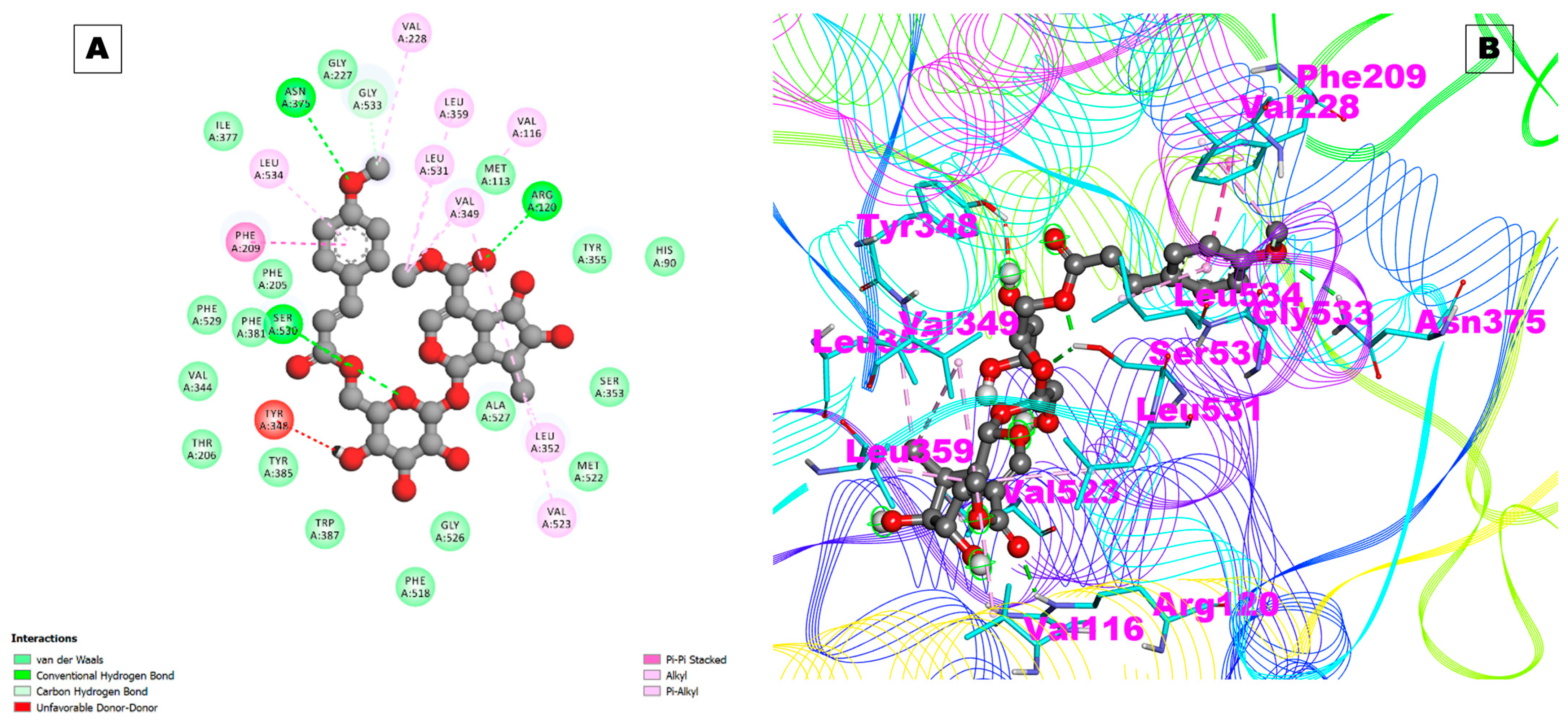 Pharmaceuticals 17 00018 g003