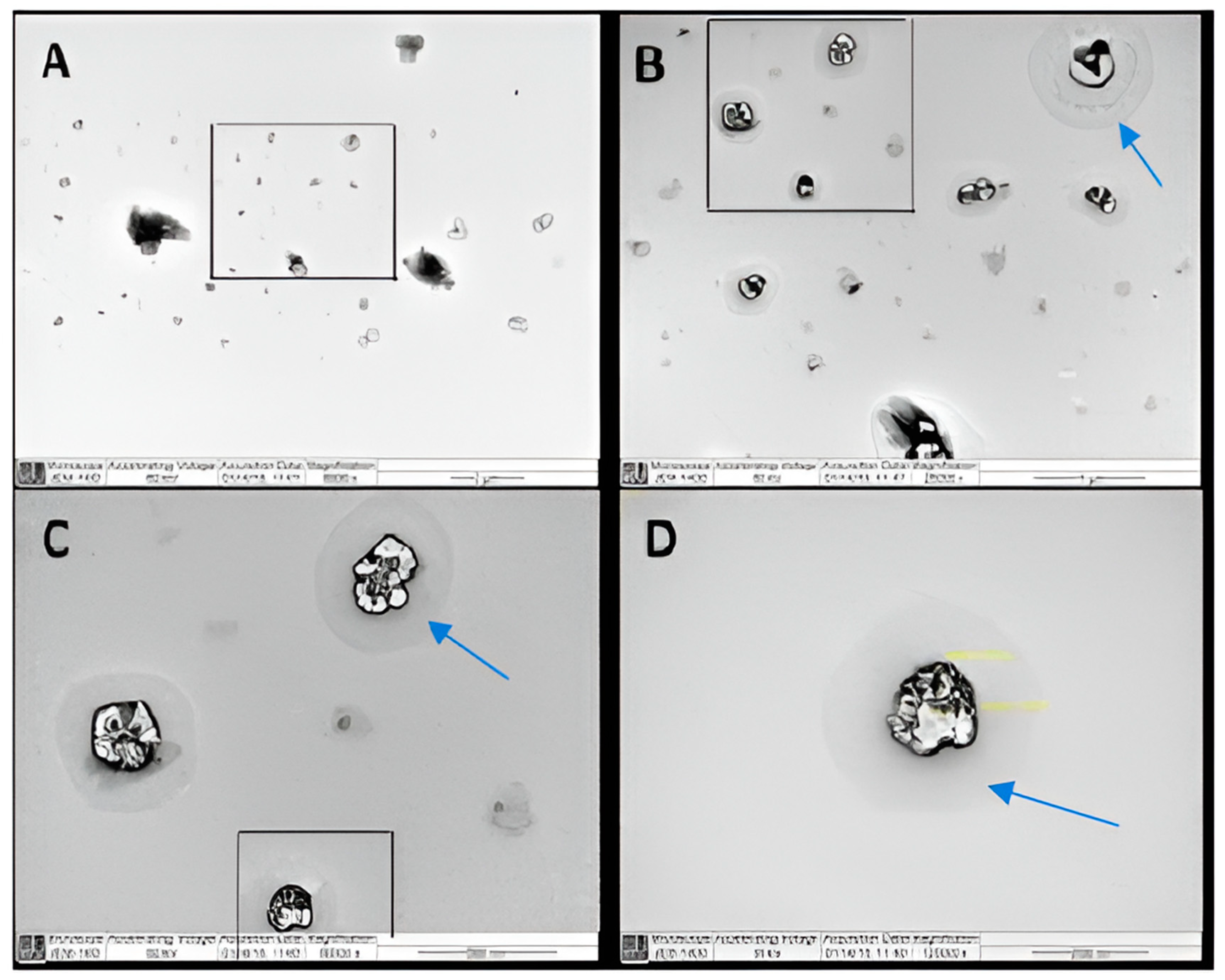 Pharmaceuticals 17 00019 g001