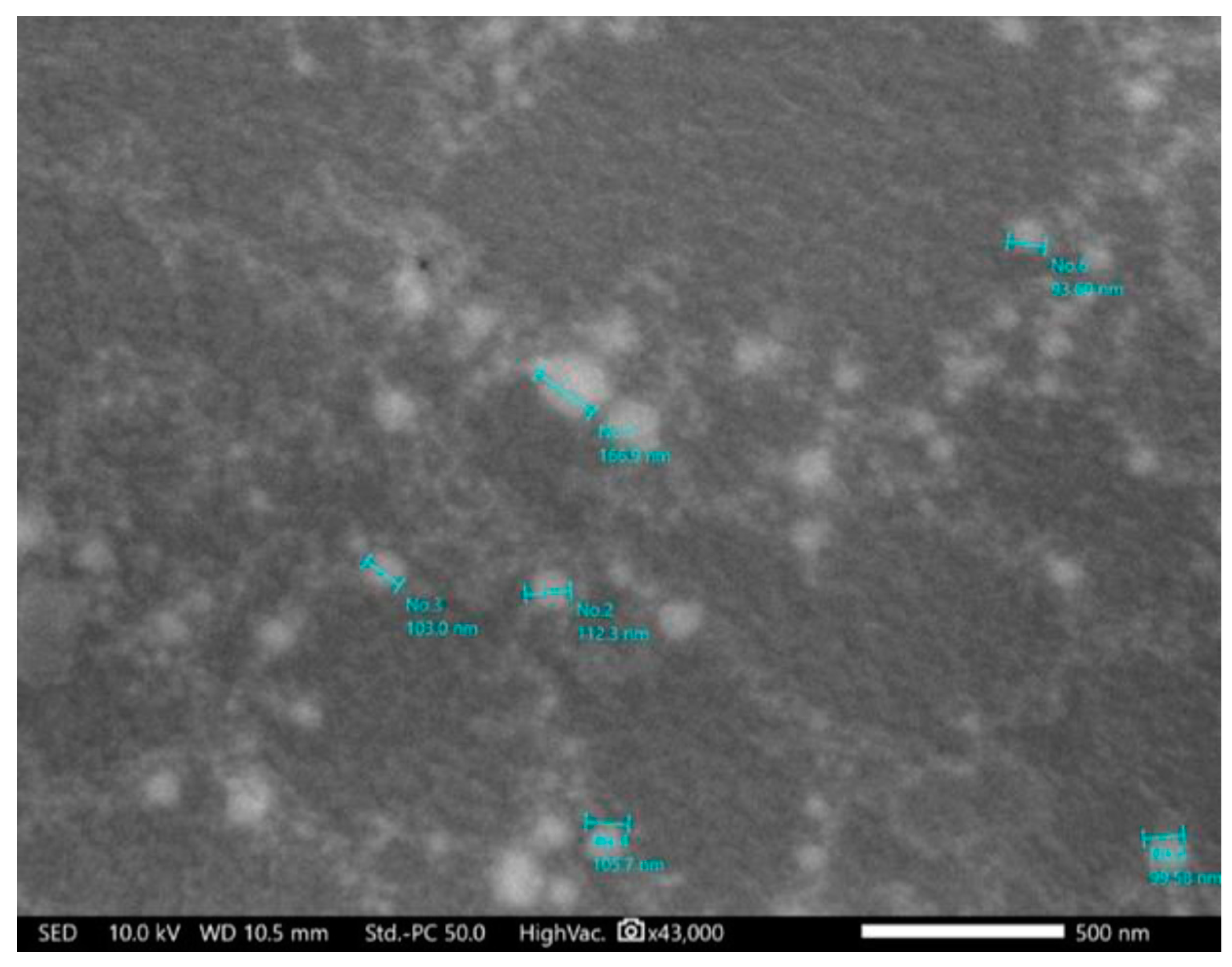 Pharmaceuticals 17 00019 g002