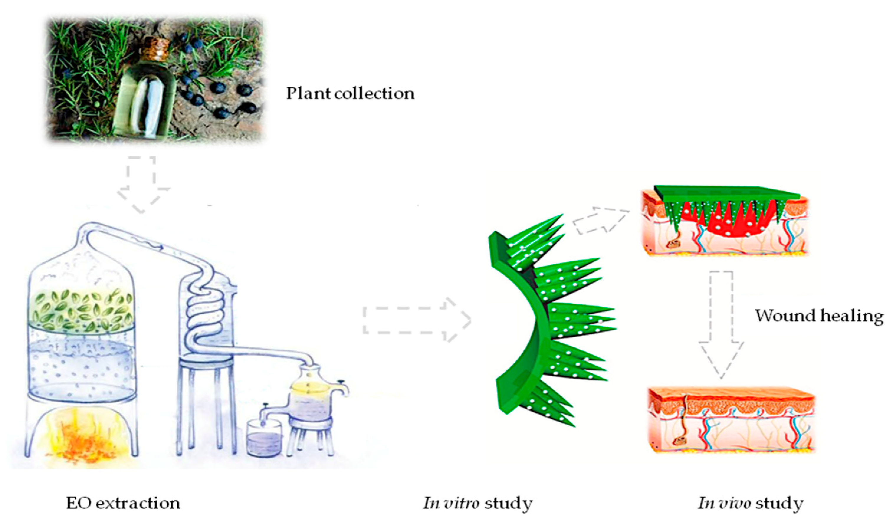 Pharmaceuticals 17 00040 g009