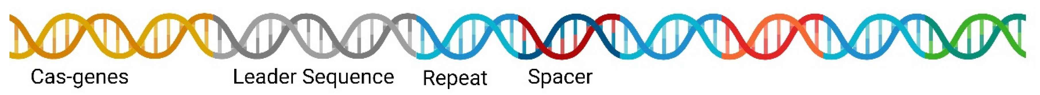 Pharmaceuticals 17 00041 g001