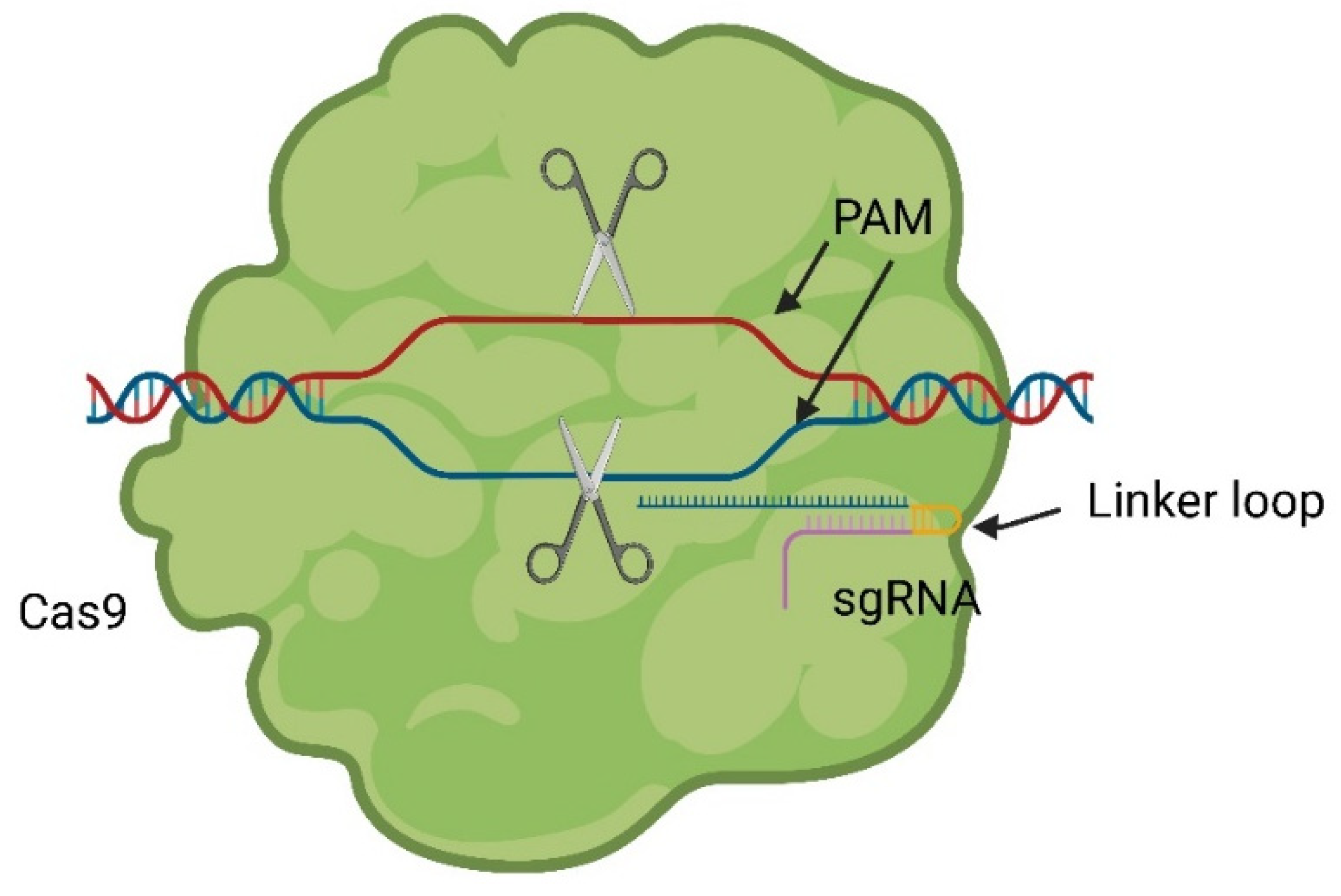 Pharmaceuticals 17 00041 g003