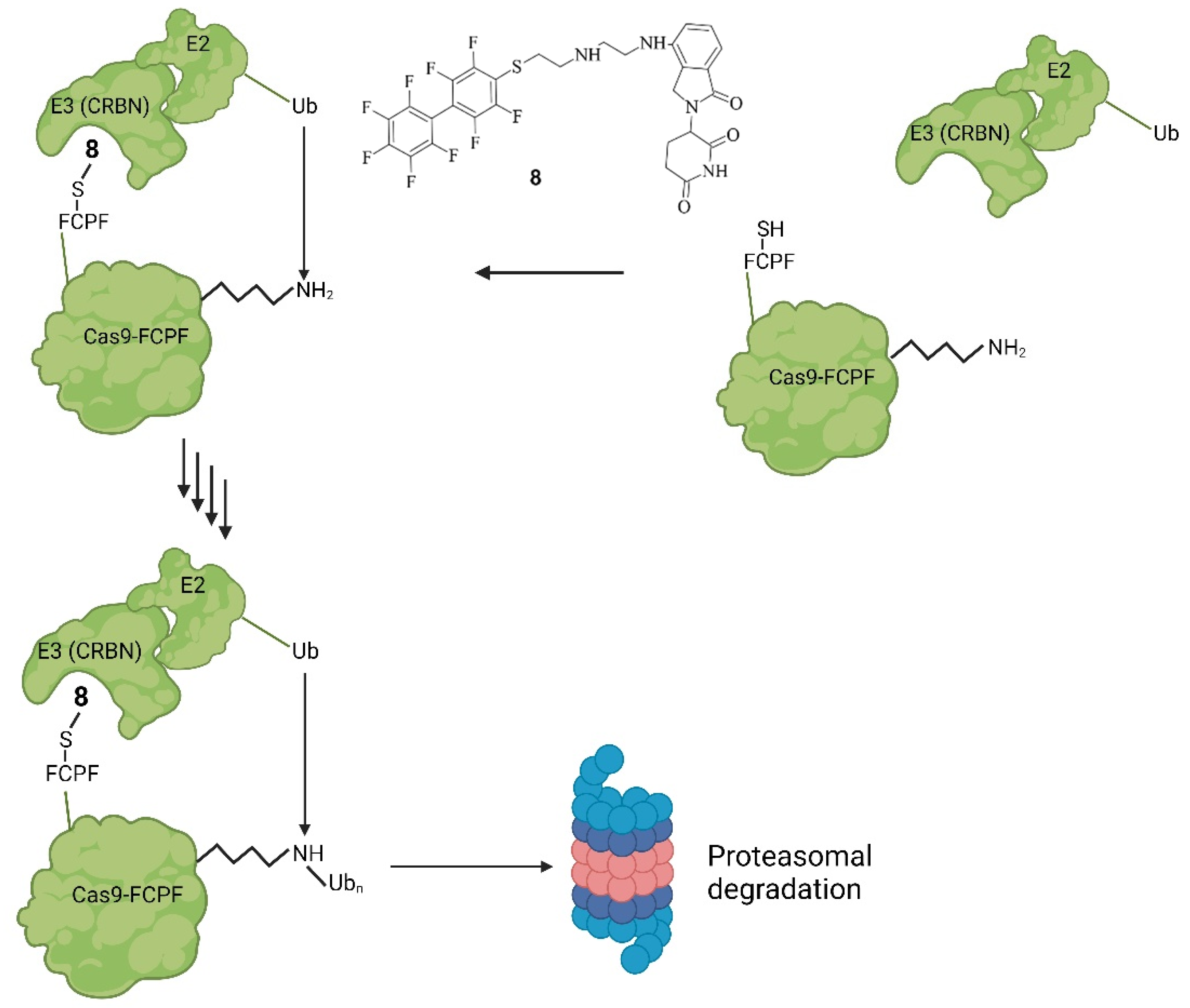 Pharmaceuticals 17 00041 g011