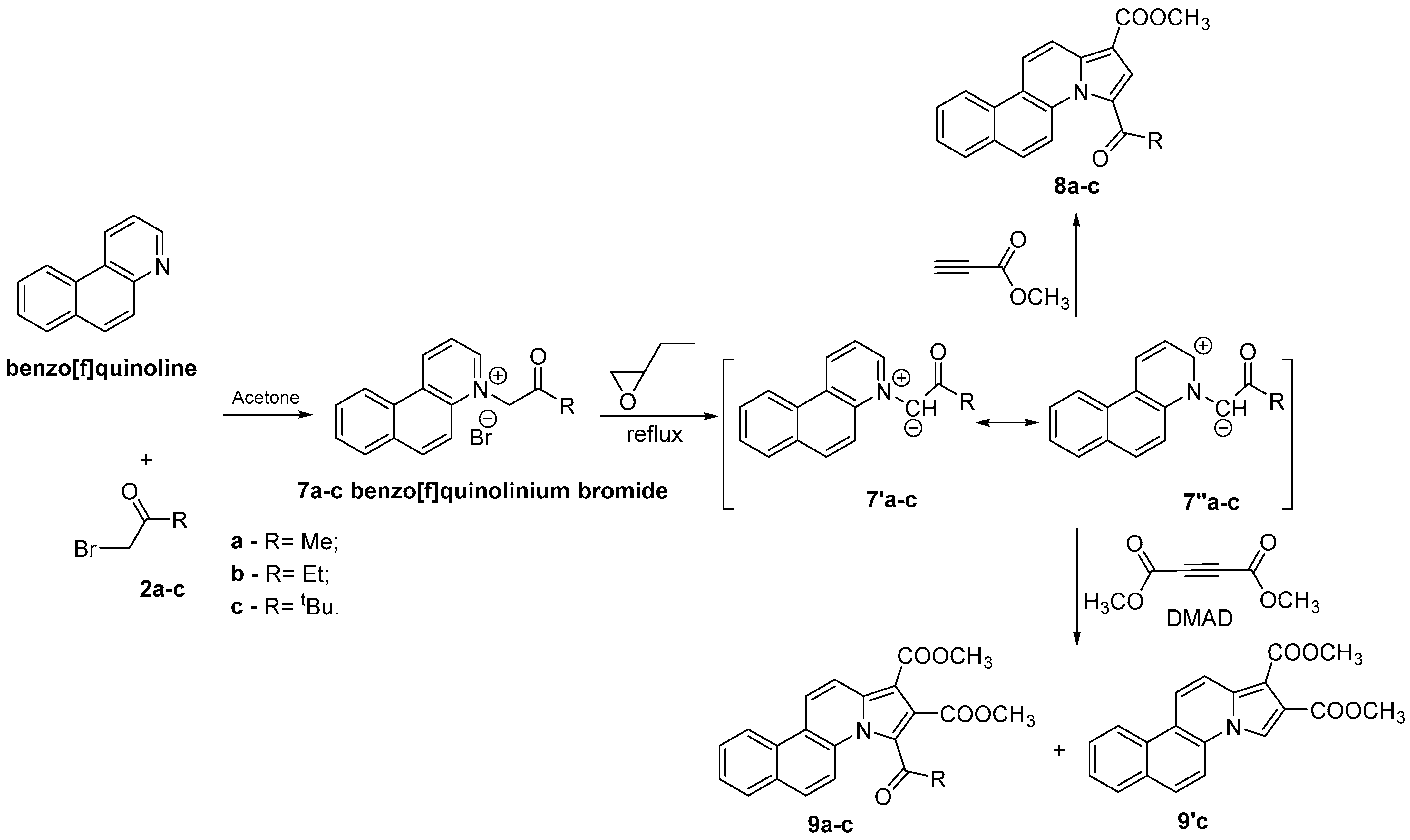 Pharmaceuticals 17 00052 sch003
