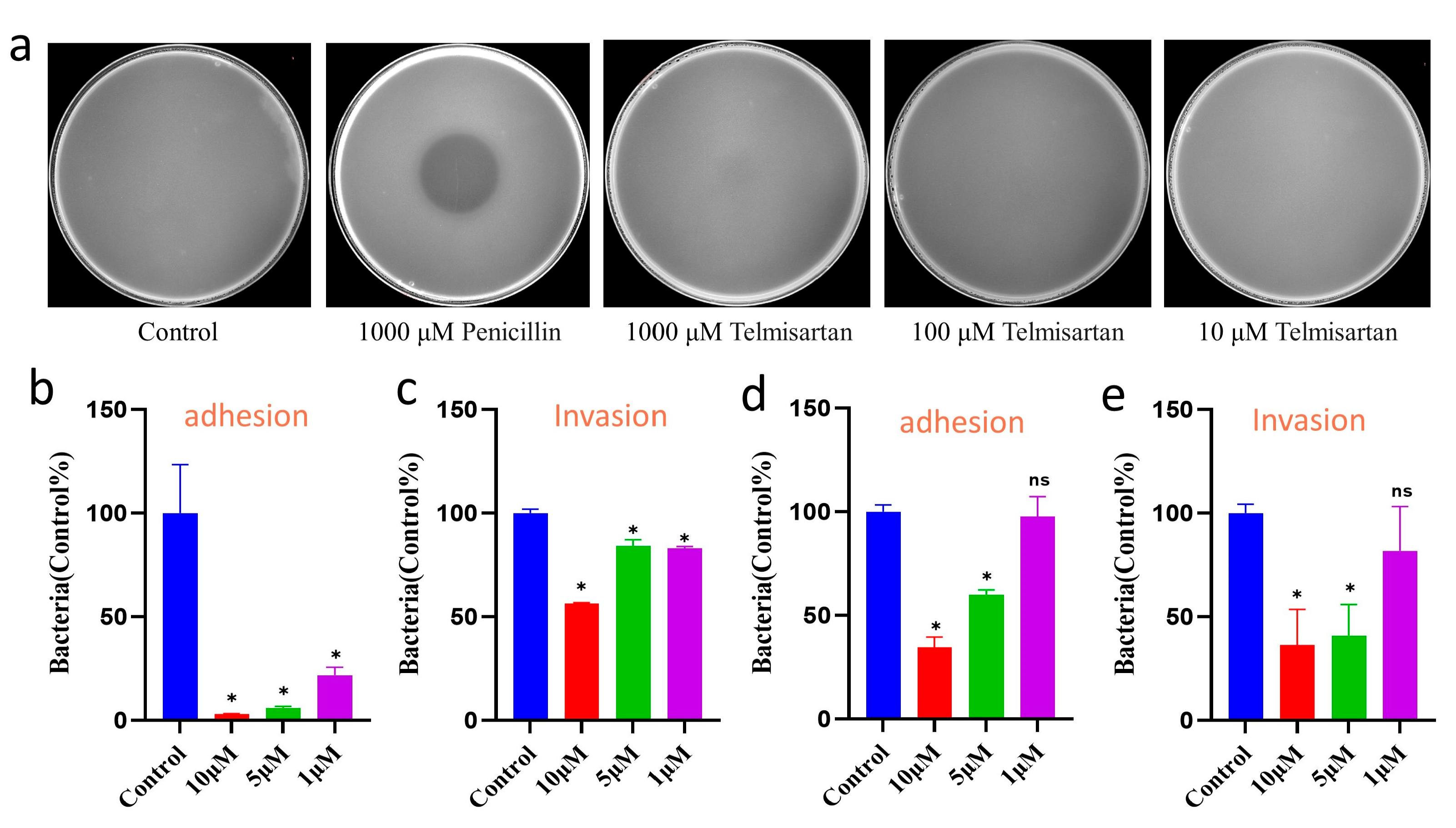 Pharmaceuticals 17 00058 g006