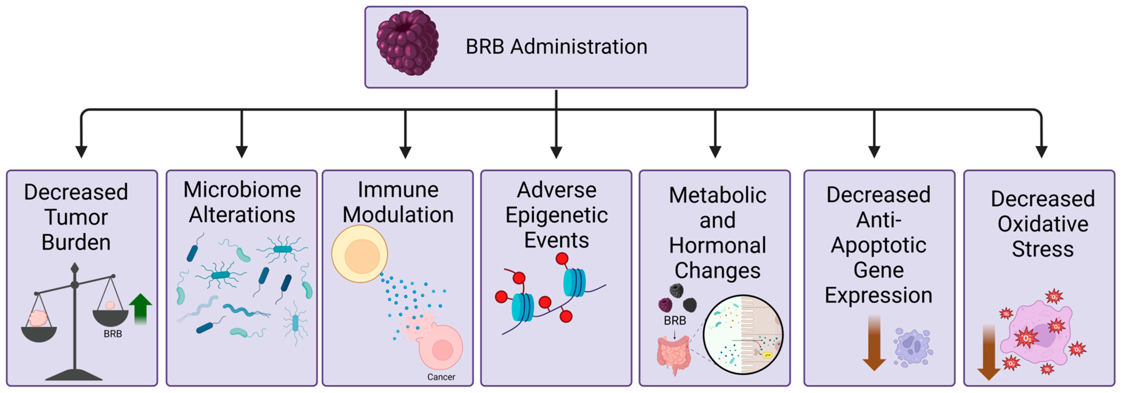 Pharmaceuticals 17 00084 g002 Pharmaceuticals 17 00084 g002