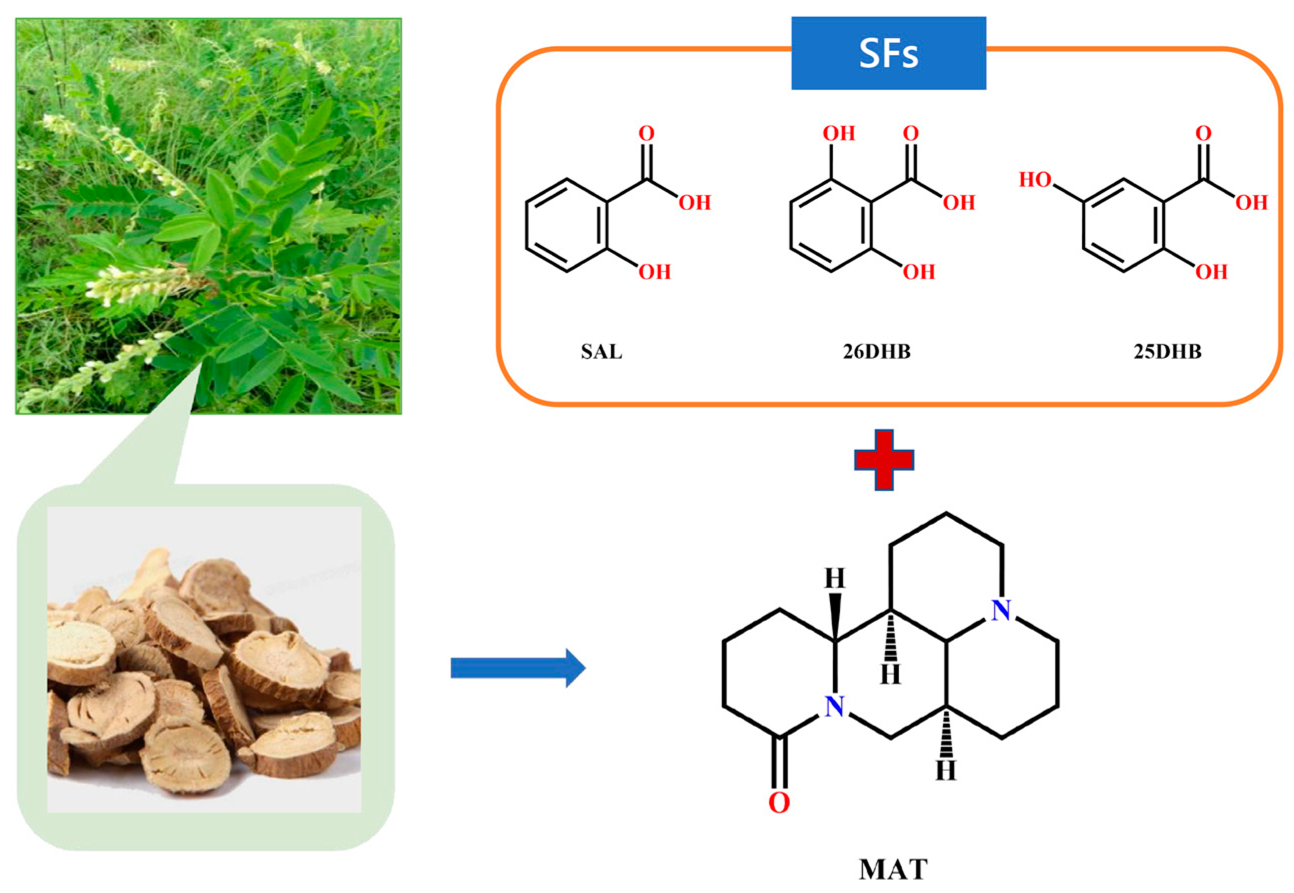 Pharmaceuticals 17 00094 g001