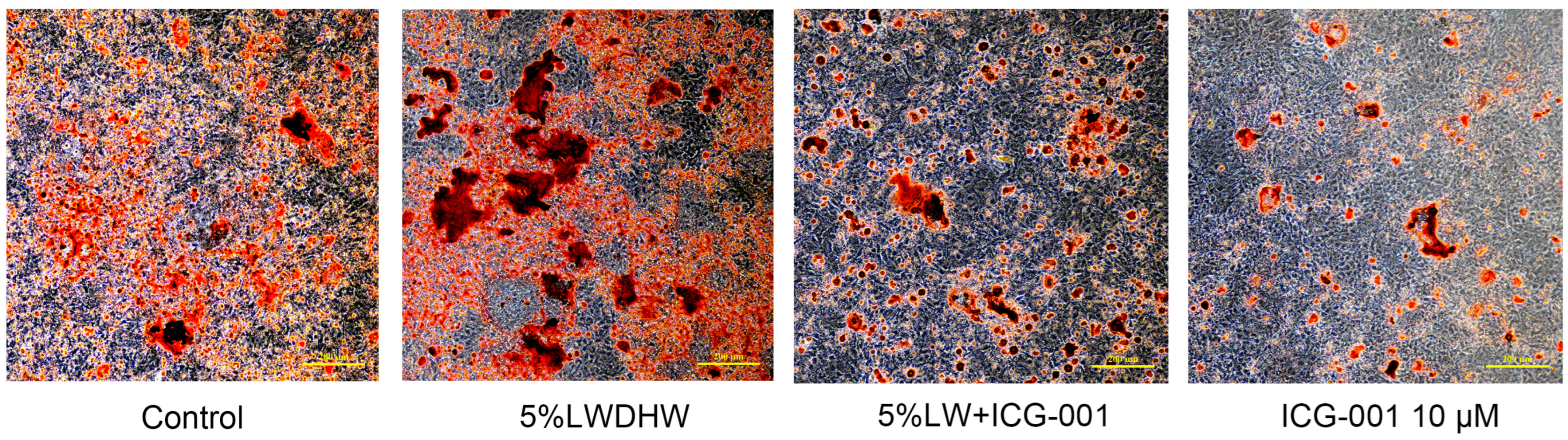 Pharmaceuticals 17 00099 g012