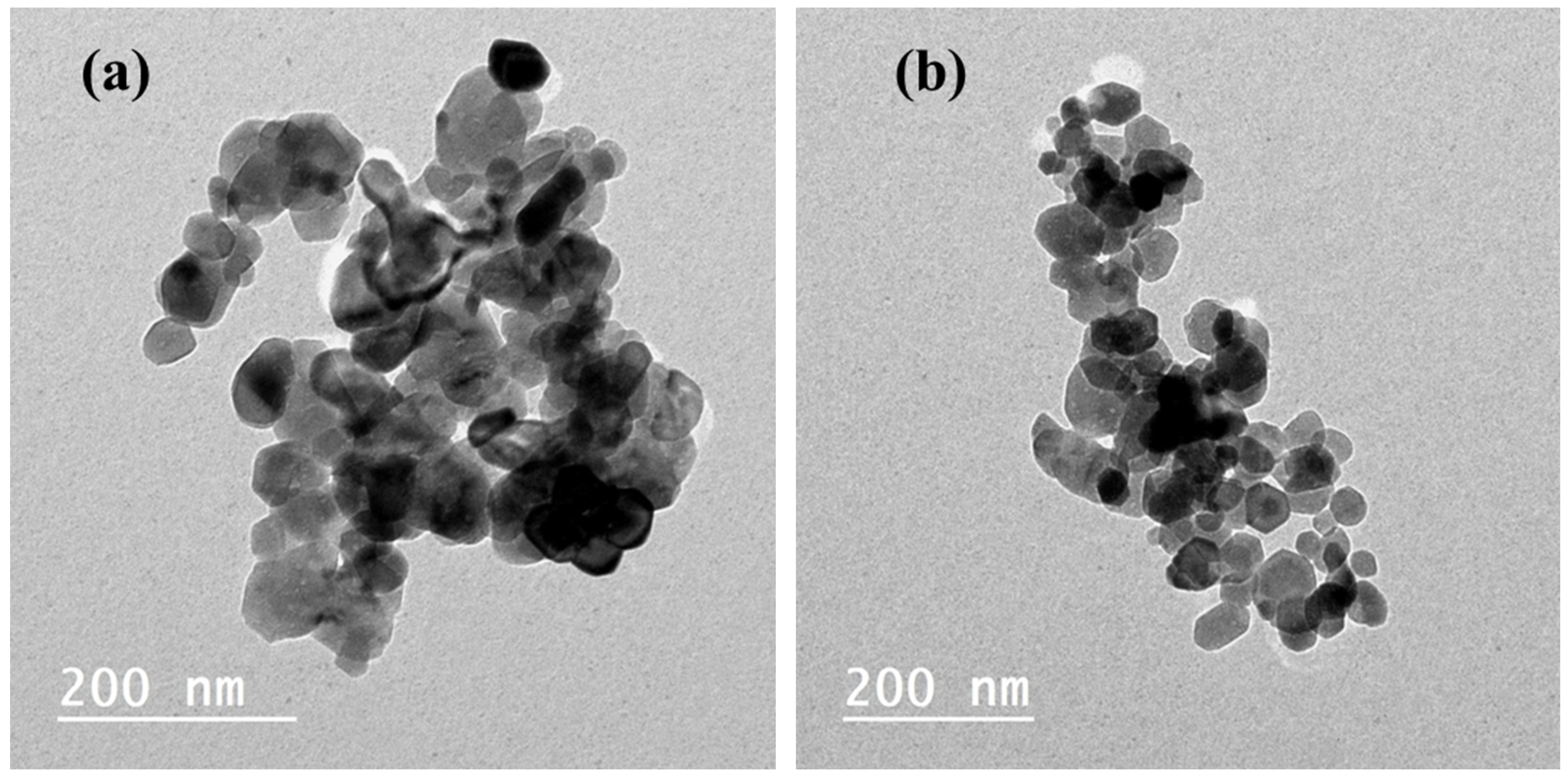 Pharmaceuticals 17 00113 g003