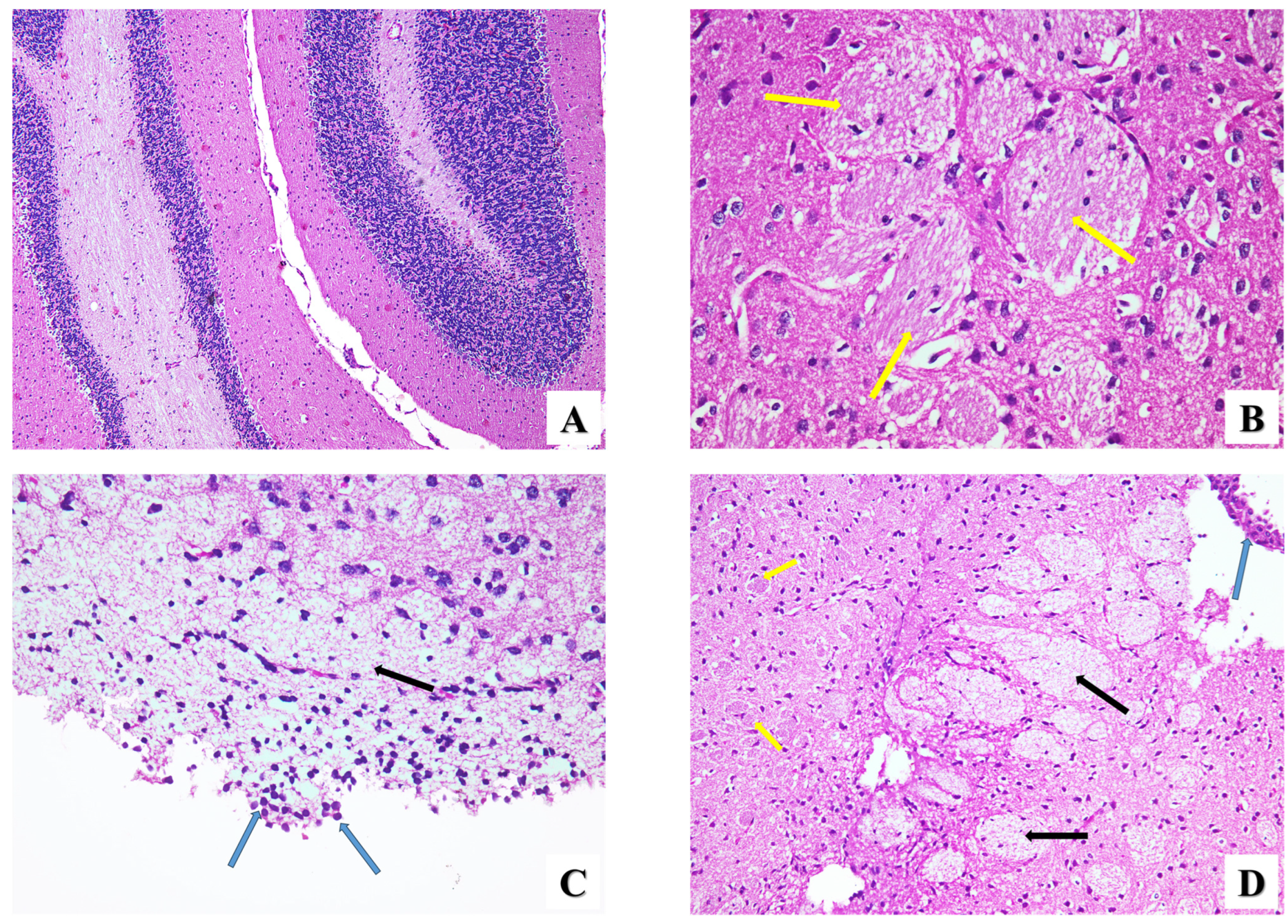Pharmaceuticals 17 00113 g004a