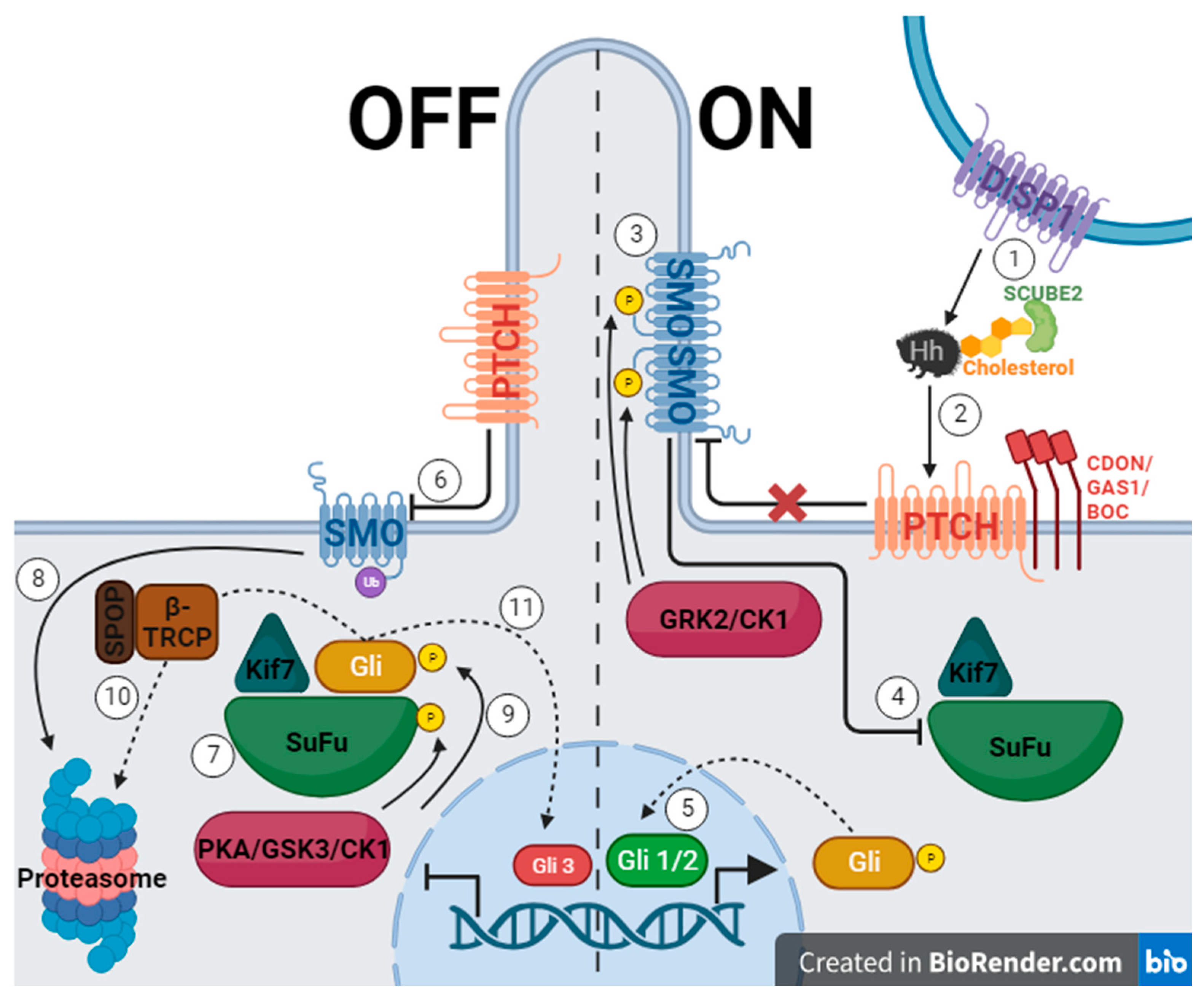 Pharmaceuticals 17 00123 g001 Pharmaceuticals 17 00123 g001