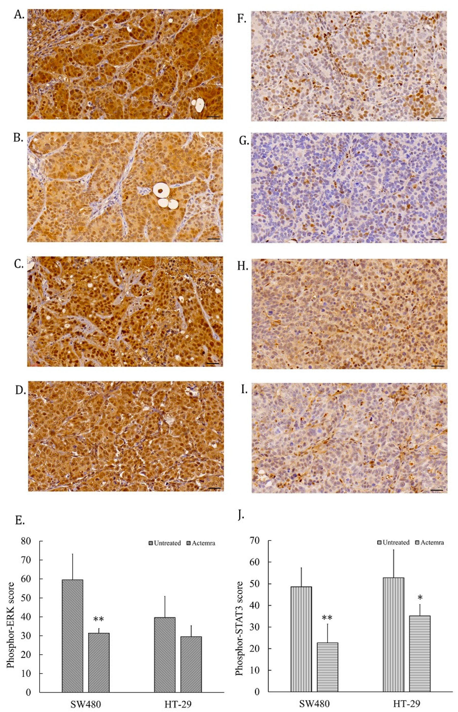 Pharmaceuticals 17 00127 g005