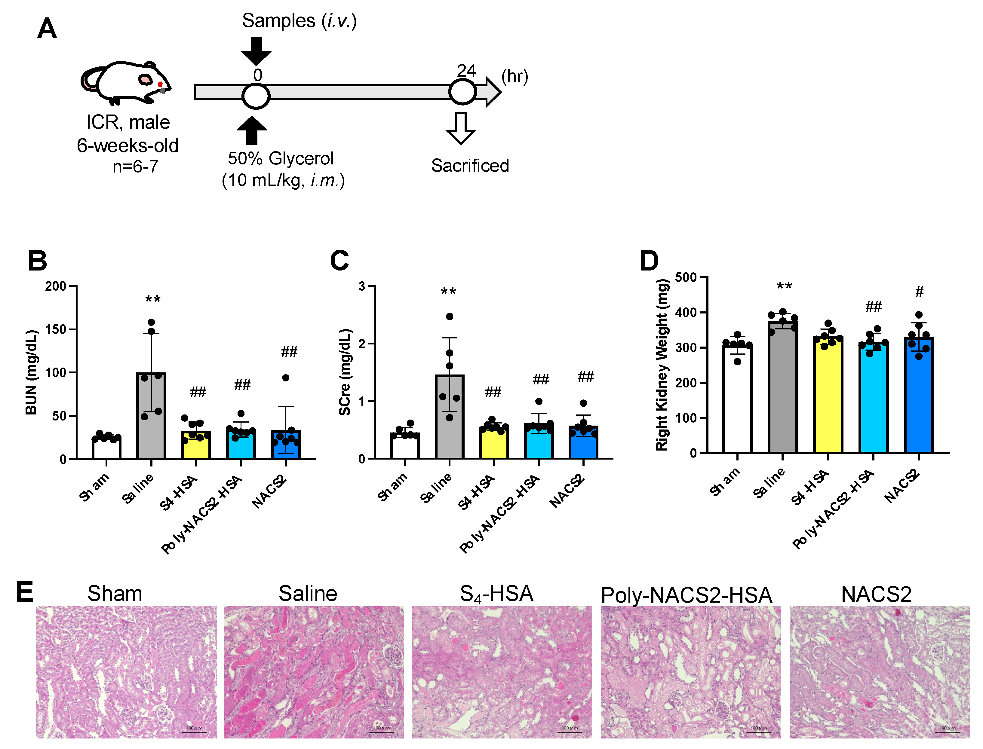 Pharmaceuticals 17 00128 g004