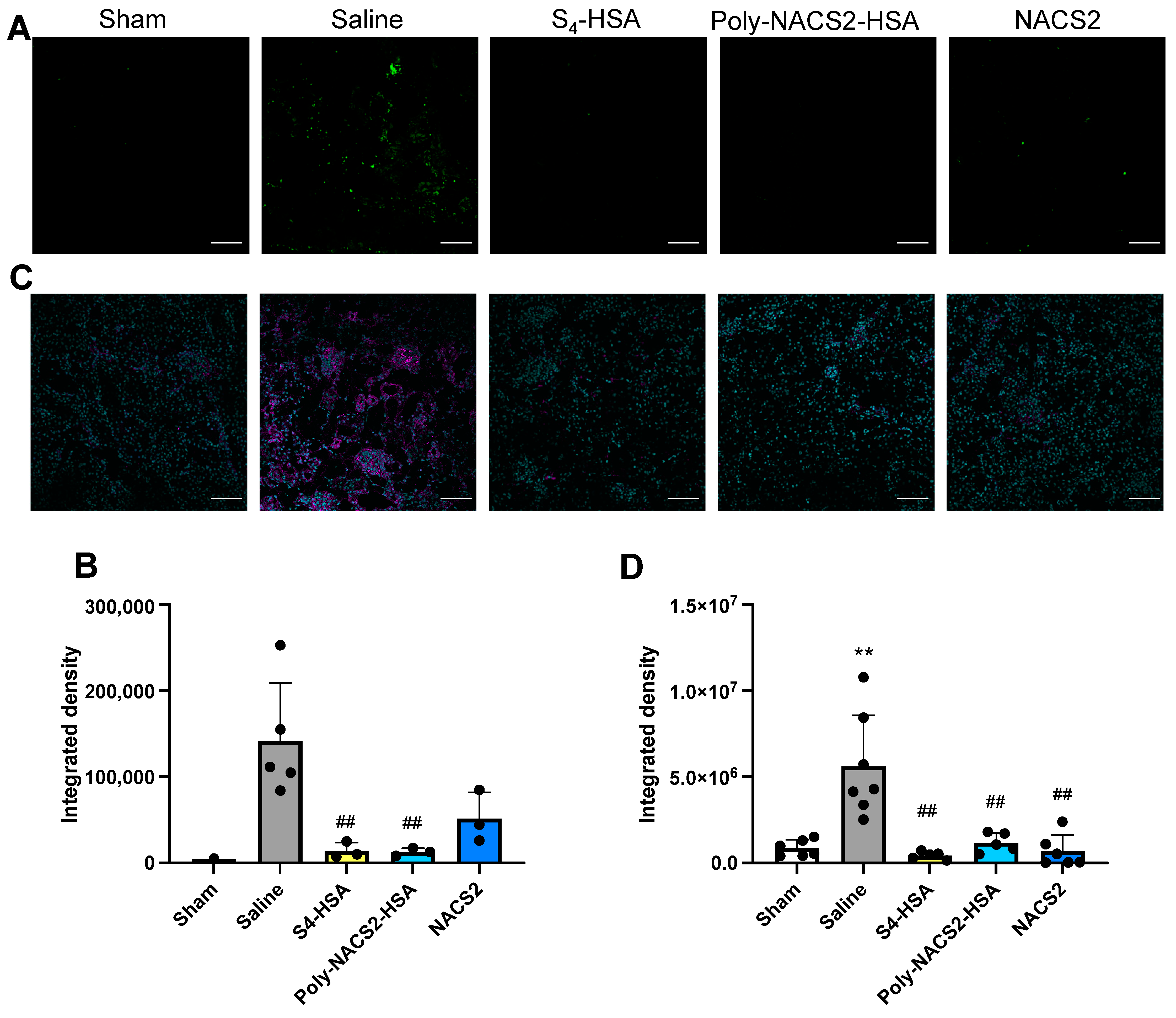 Pharmaceuticals 17 00128 g005