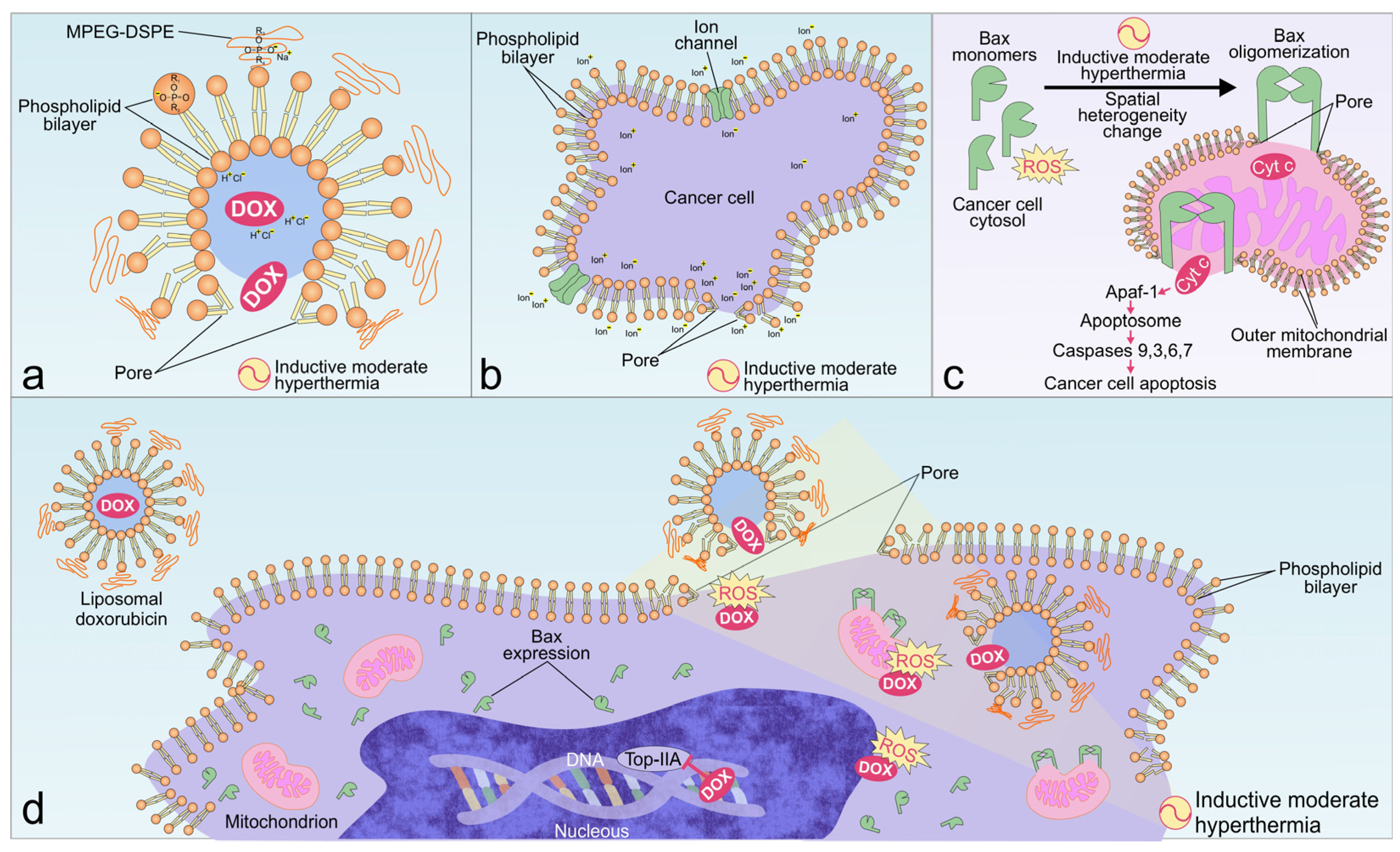 Pharmaceuticals 17 00133 g008