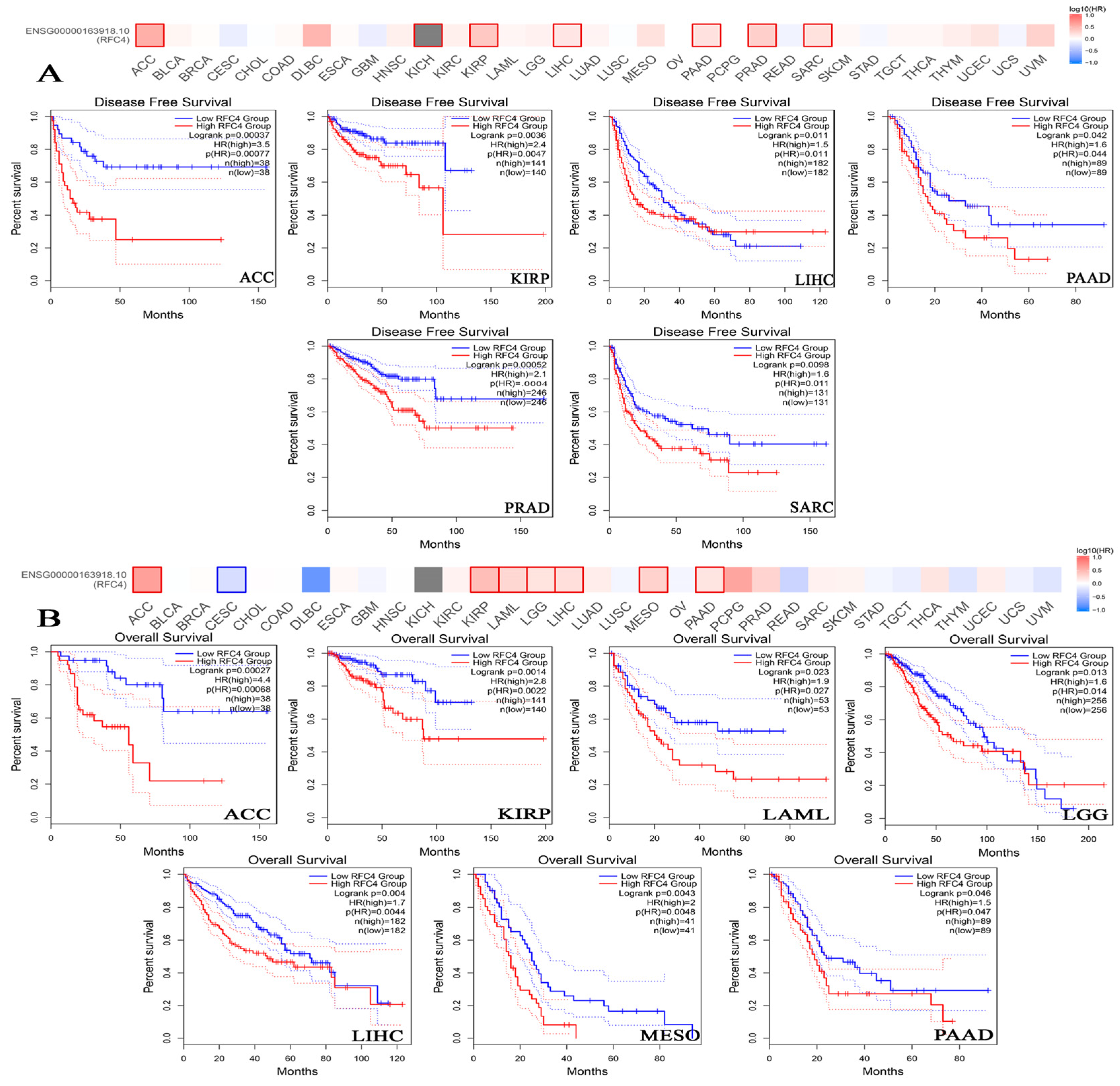 Pharmaceuticals 17 00152 g005
