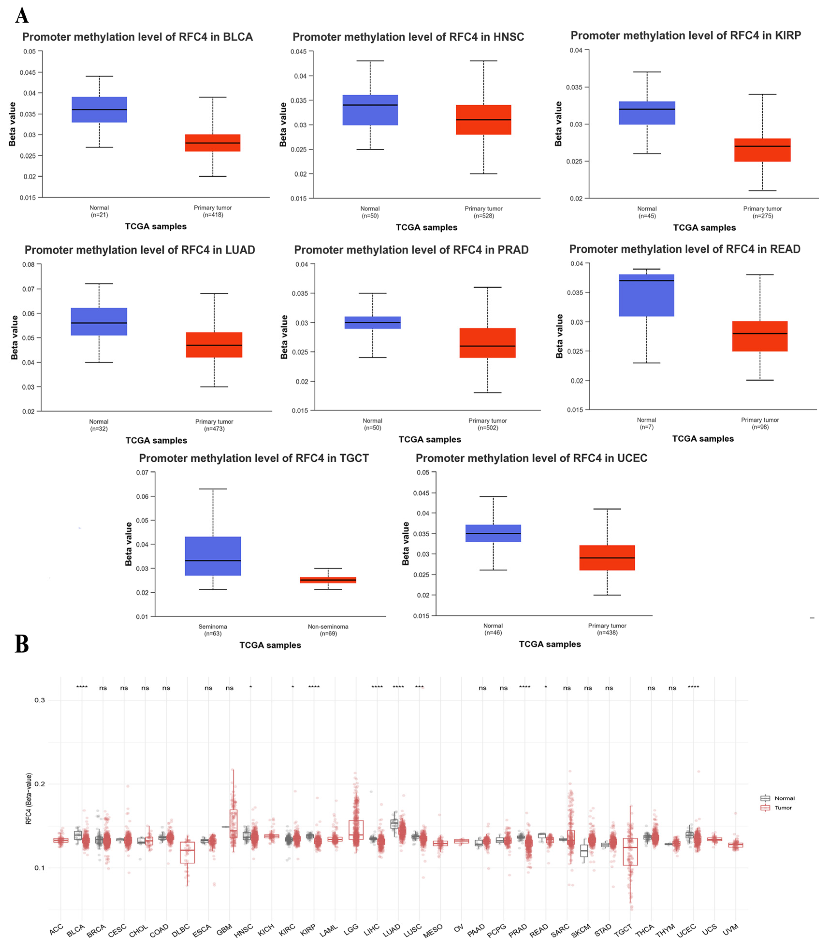 Pharmaceuticals 17 00152 g008